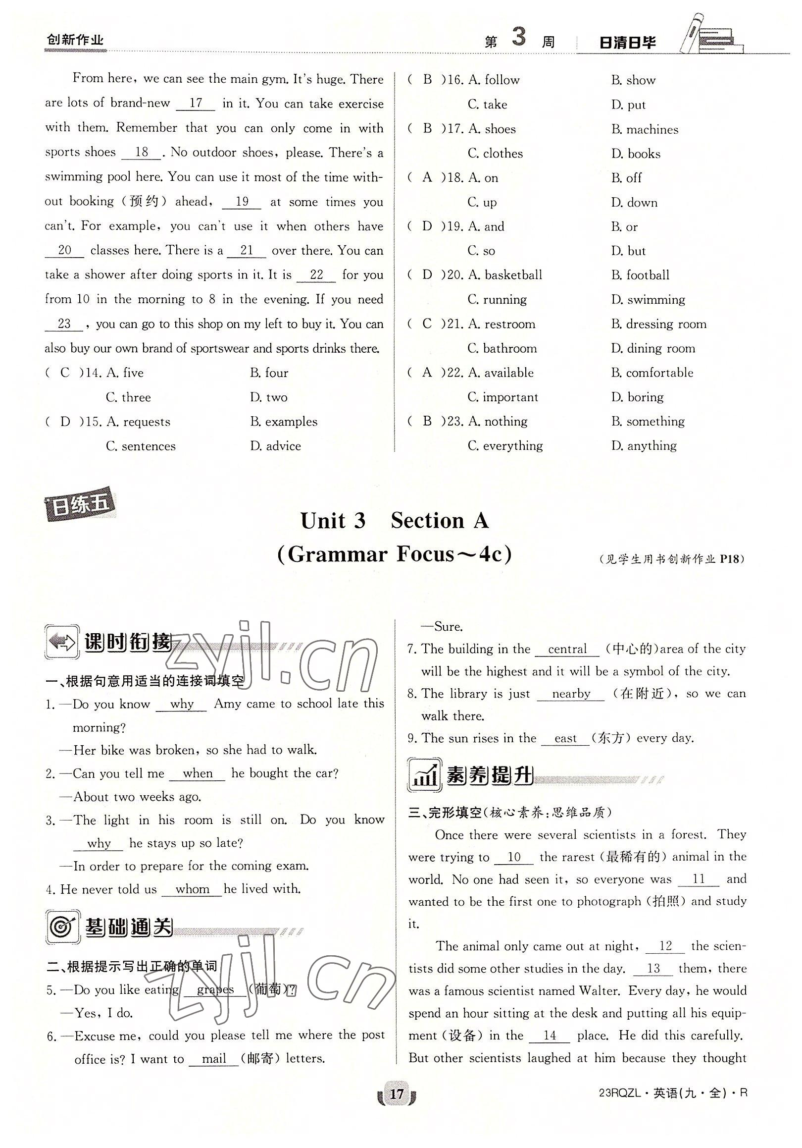 2022年日清周練九年級英語全一冊人教版 參考答案第17頁