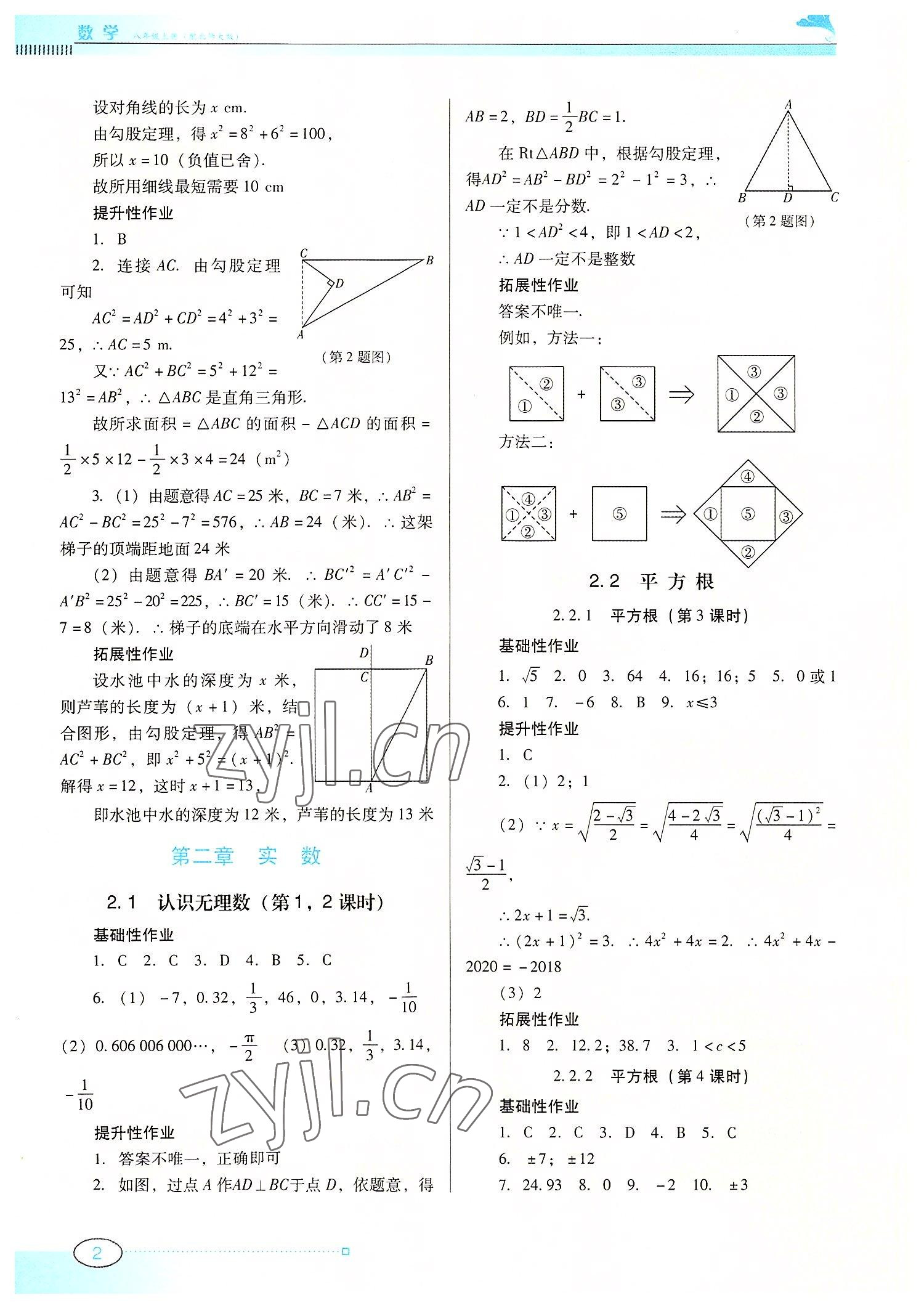 2022年南方新課堂金牌學(xué)案八年級(jí)數(shù)學(xué)上冊(cè)北師大版 第2頁(yè)