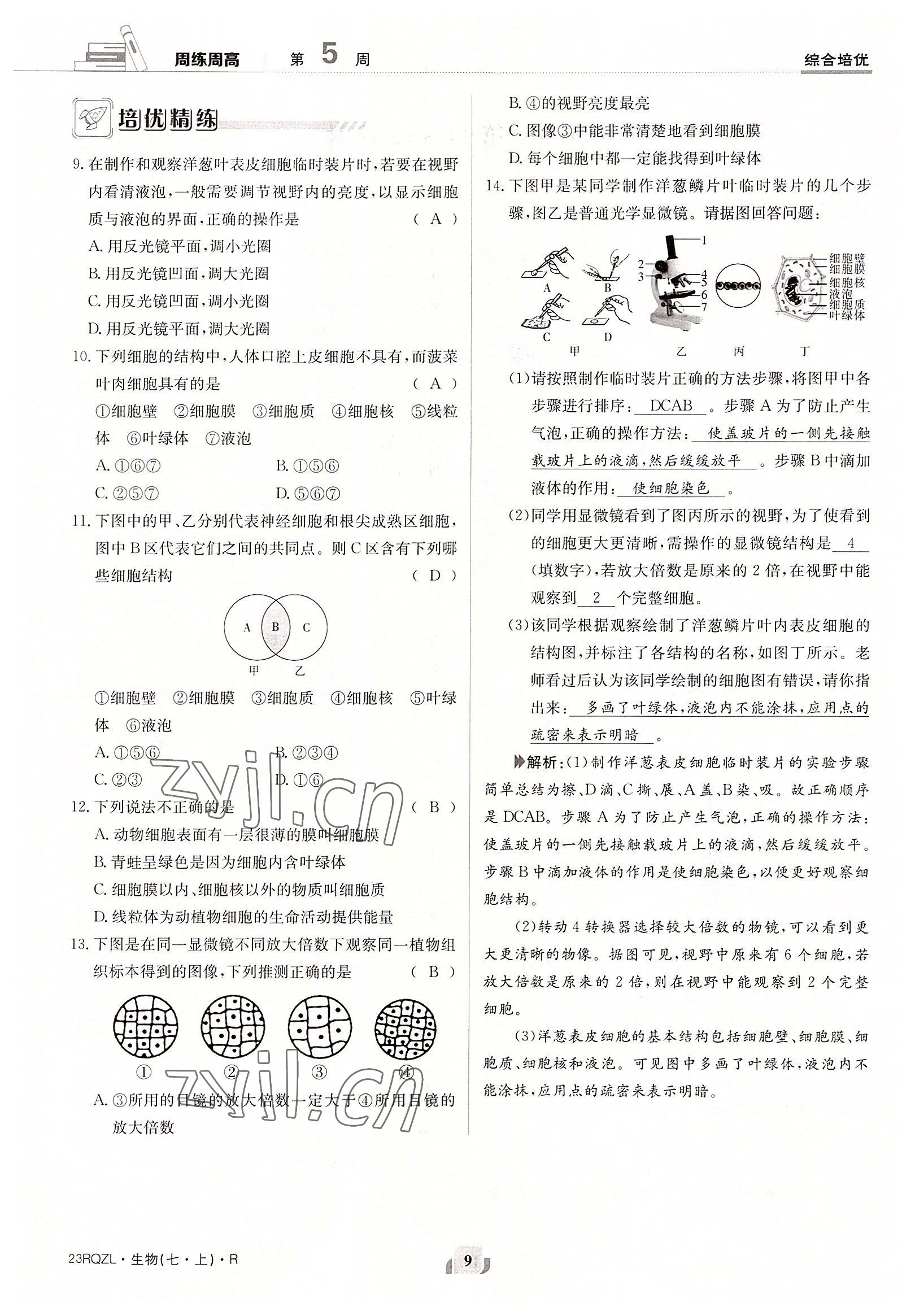 2022年日清周練七年級(jí)生物上冊(cè)人教版 參考答案第9頁