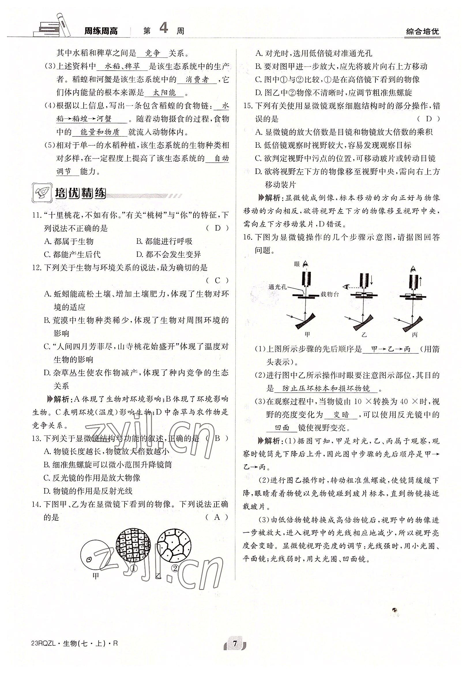 2022年日清周練七年級生物上冊人教版 參考答案第7頁