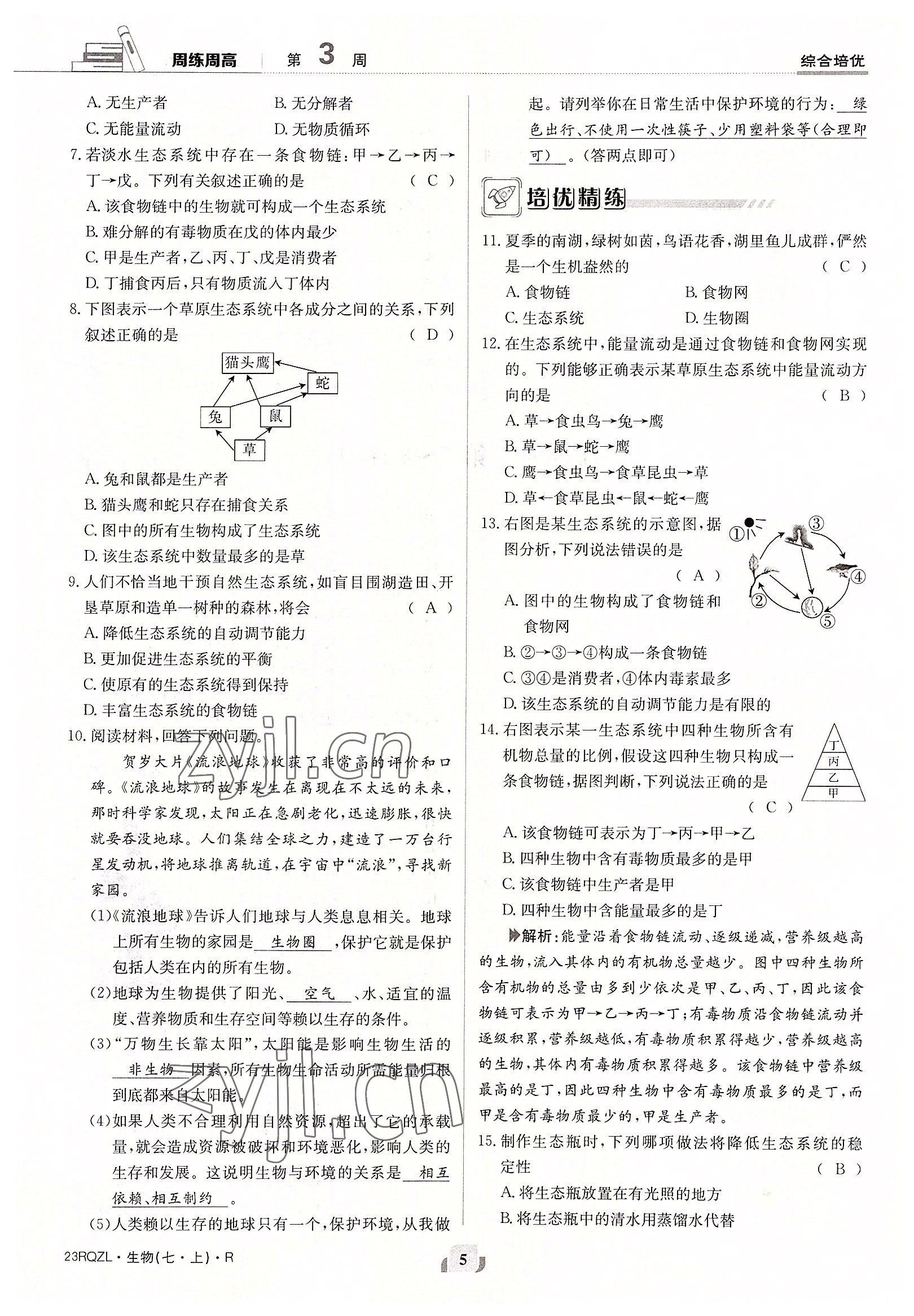 2022年日清周練七年級生物上冊人教版 參考答案第5頁