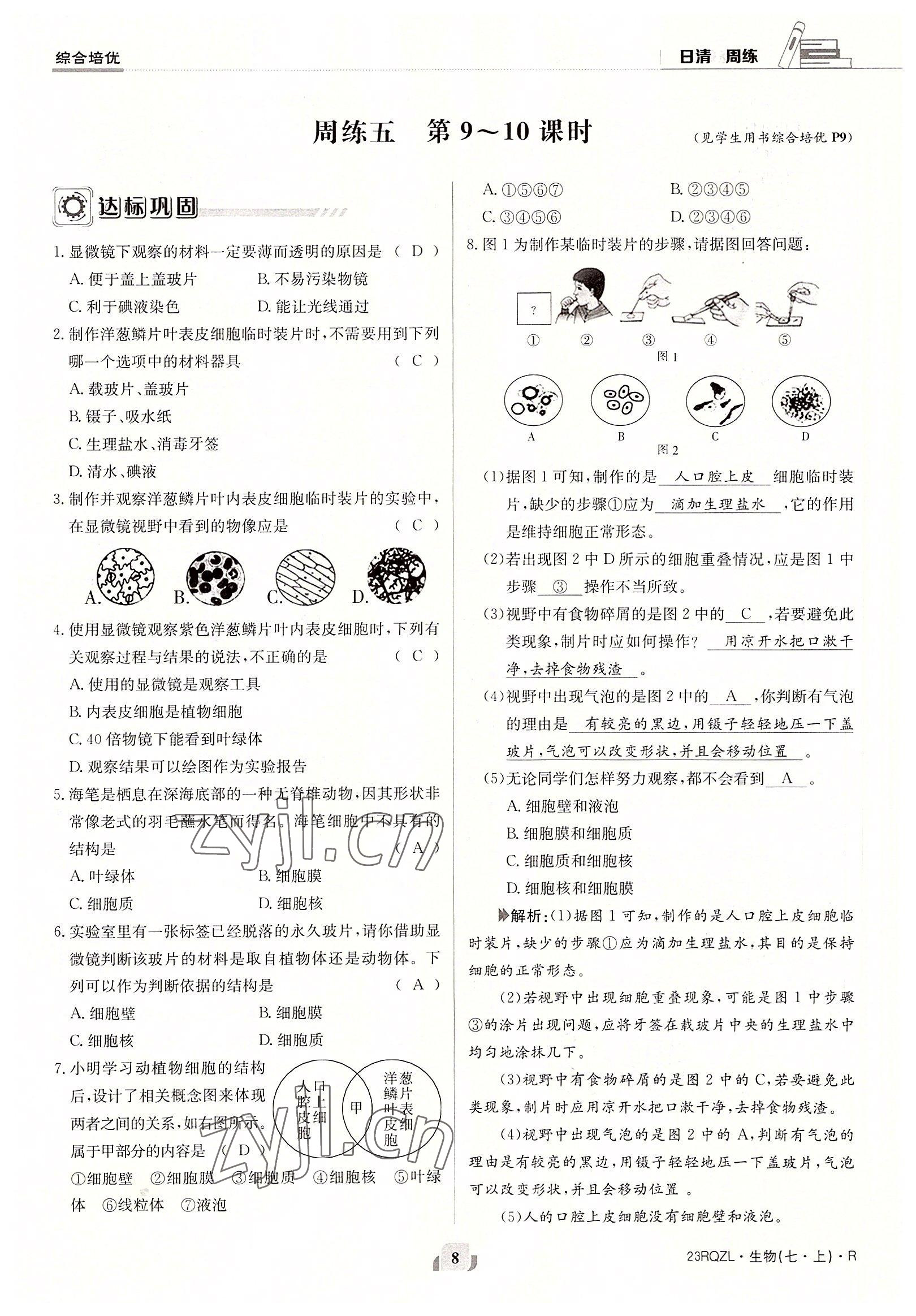 2022年日清周練七年級生物上冊人教版 參考答案第8頁