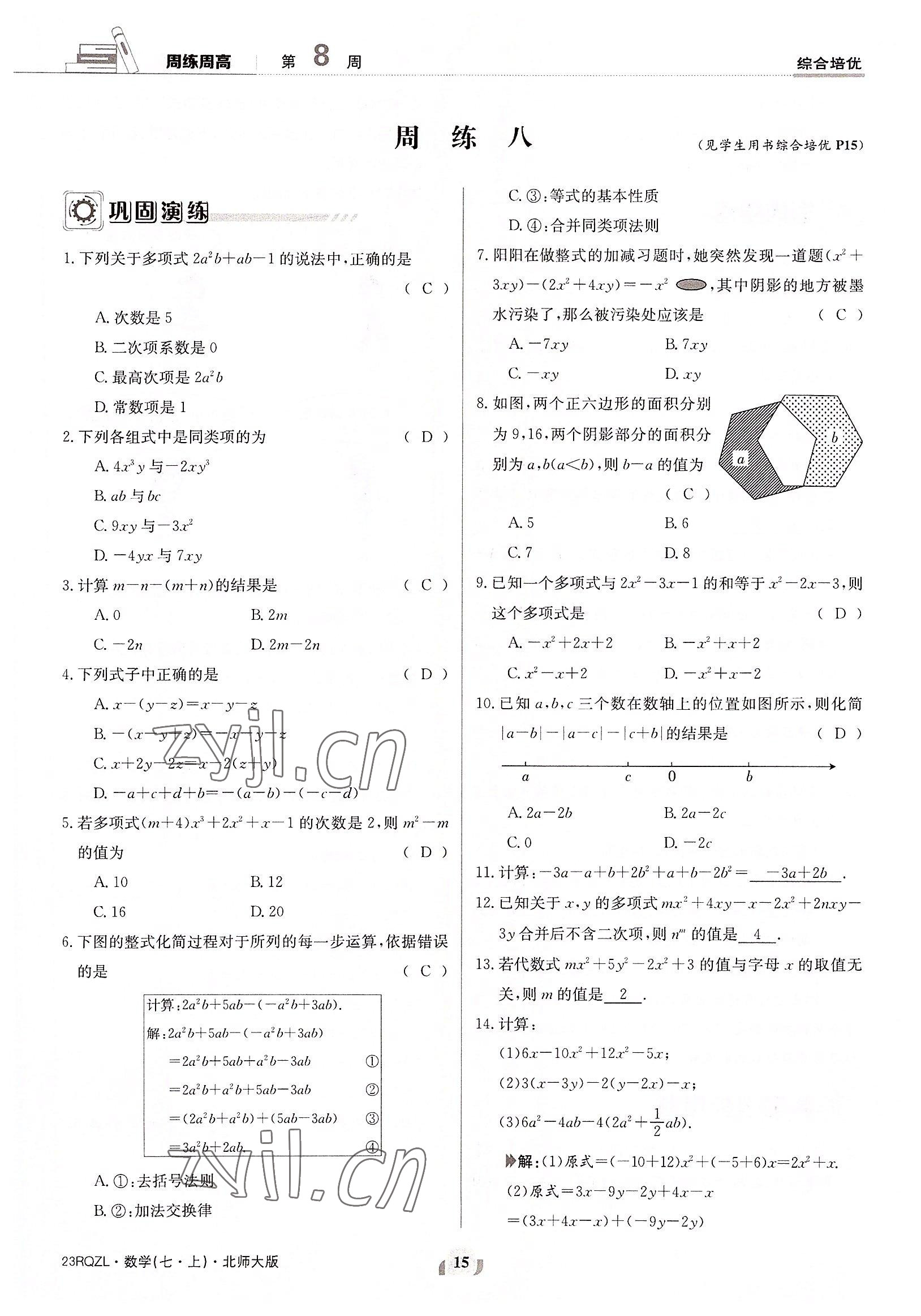 2022年日清周练七年级数学上册北师大版 参考答案第15页