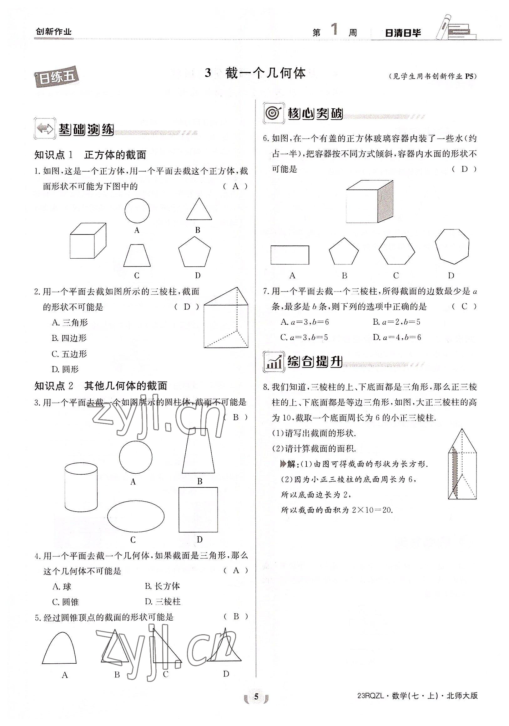 2022年日清周练七年级数学上册北师大版 参考答案第5页