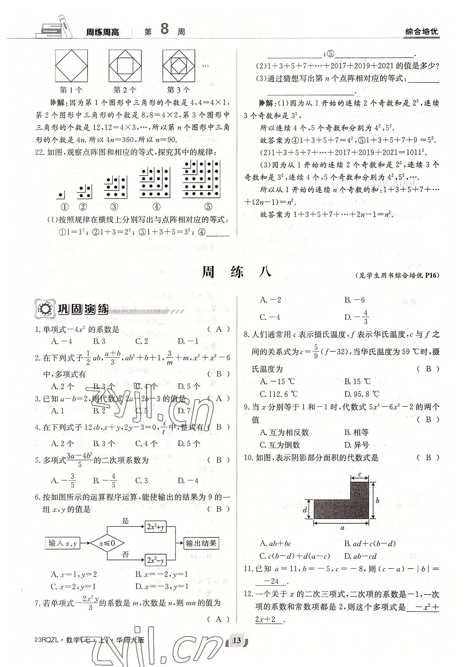 2022年日清周練七年級數(shù)學上冊華師大版 參考答案第13頁