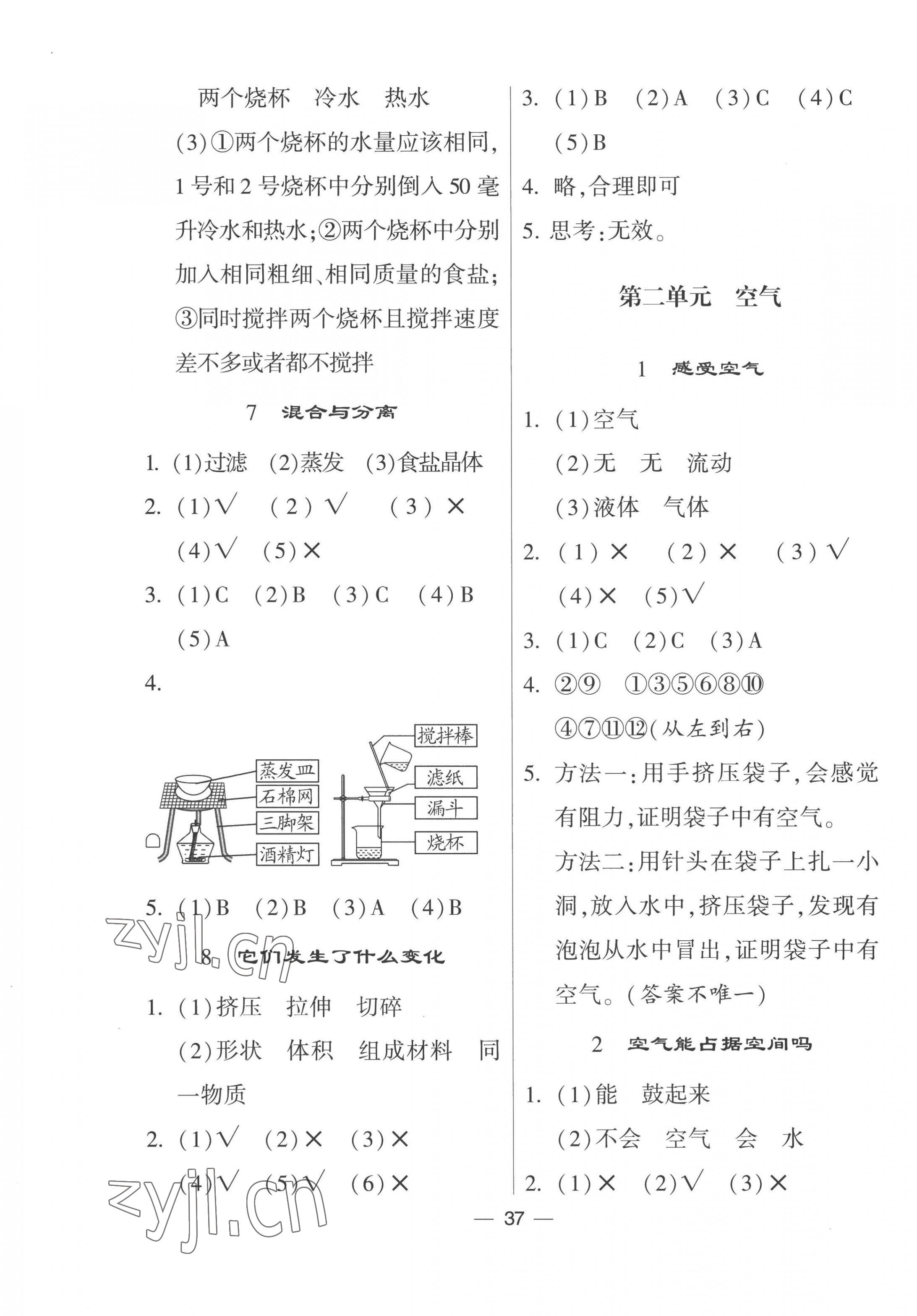 2022年經(jīng)綸學(xué)典棒棒堂三年級科學(xué)上冊教科版 第3頁