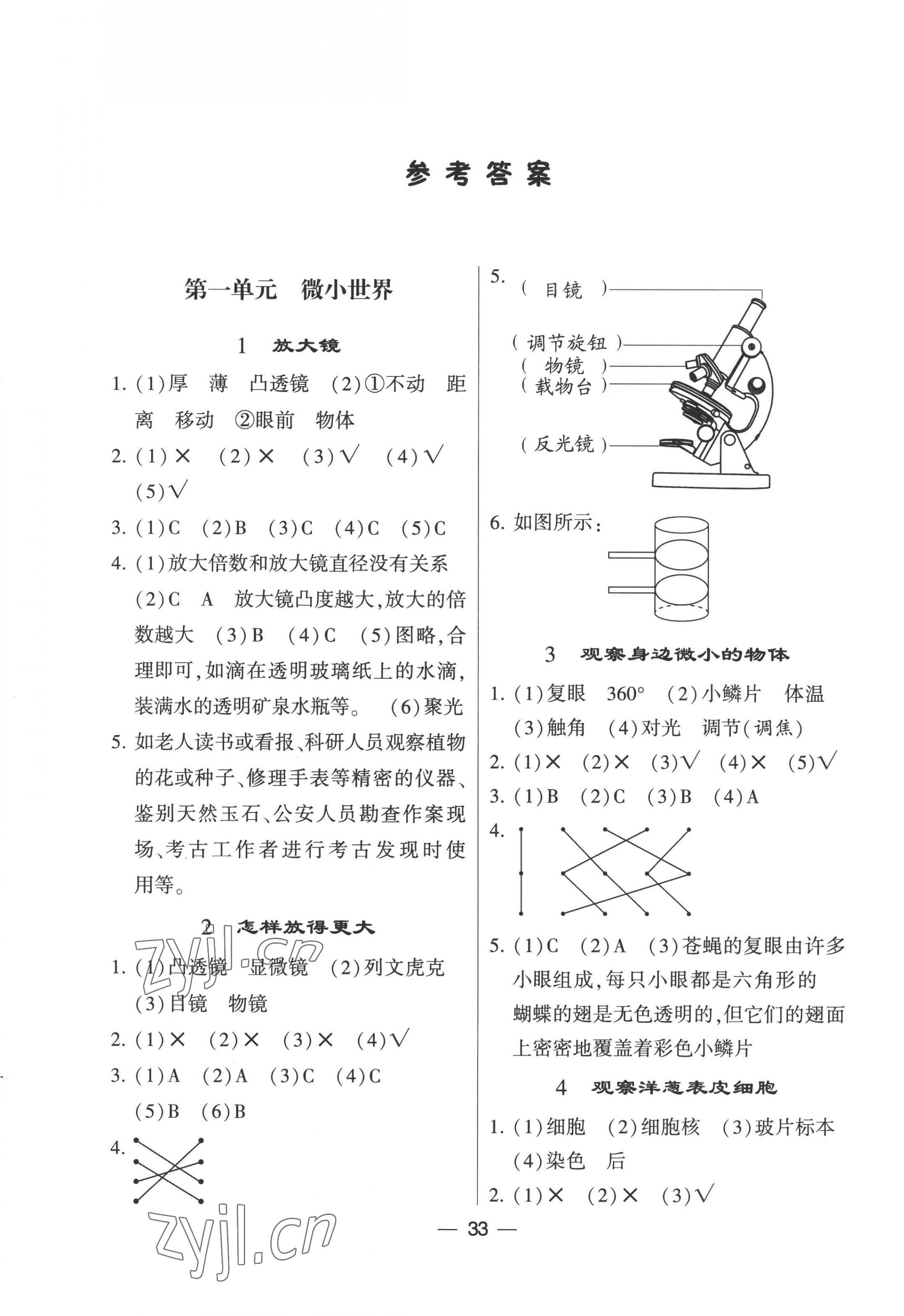 2022年經(jīng)綸學(xué)典棒棒堂六年級(jí)科學(xué)上冊(cè)教科版 第1頁(yè)