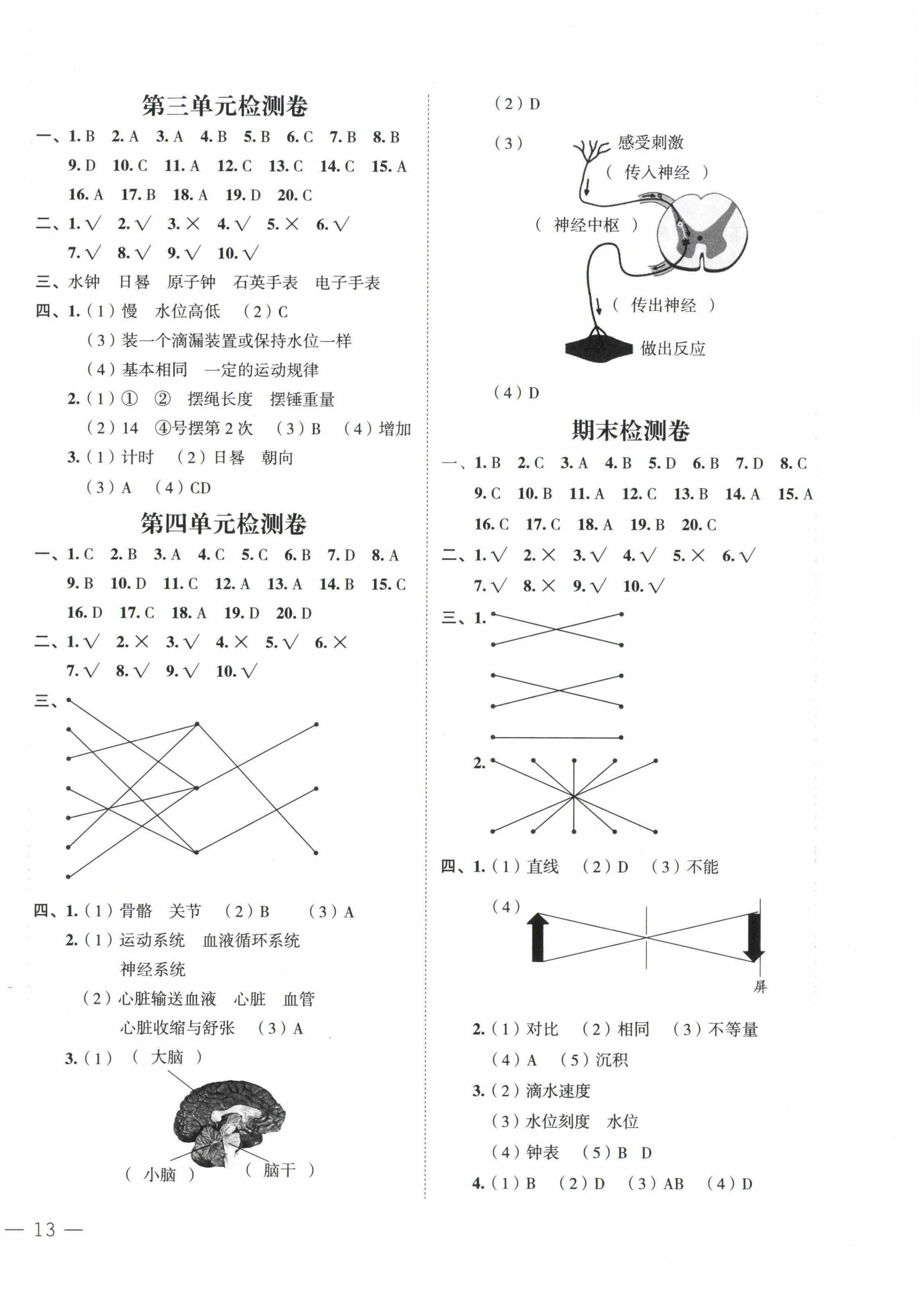 2022年名師面對面先學后練五年級科學上冊教科版 參考答案第3頁