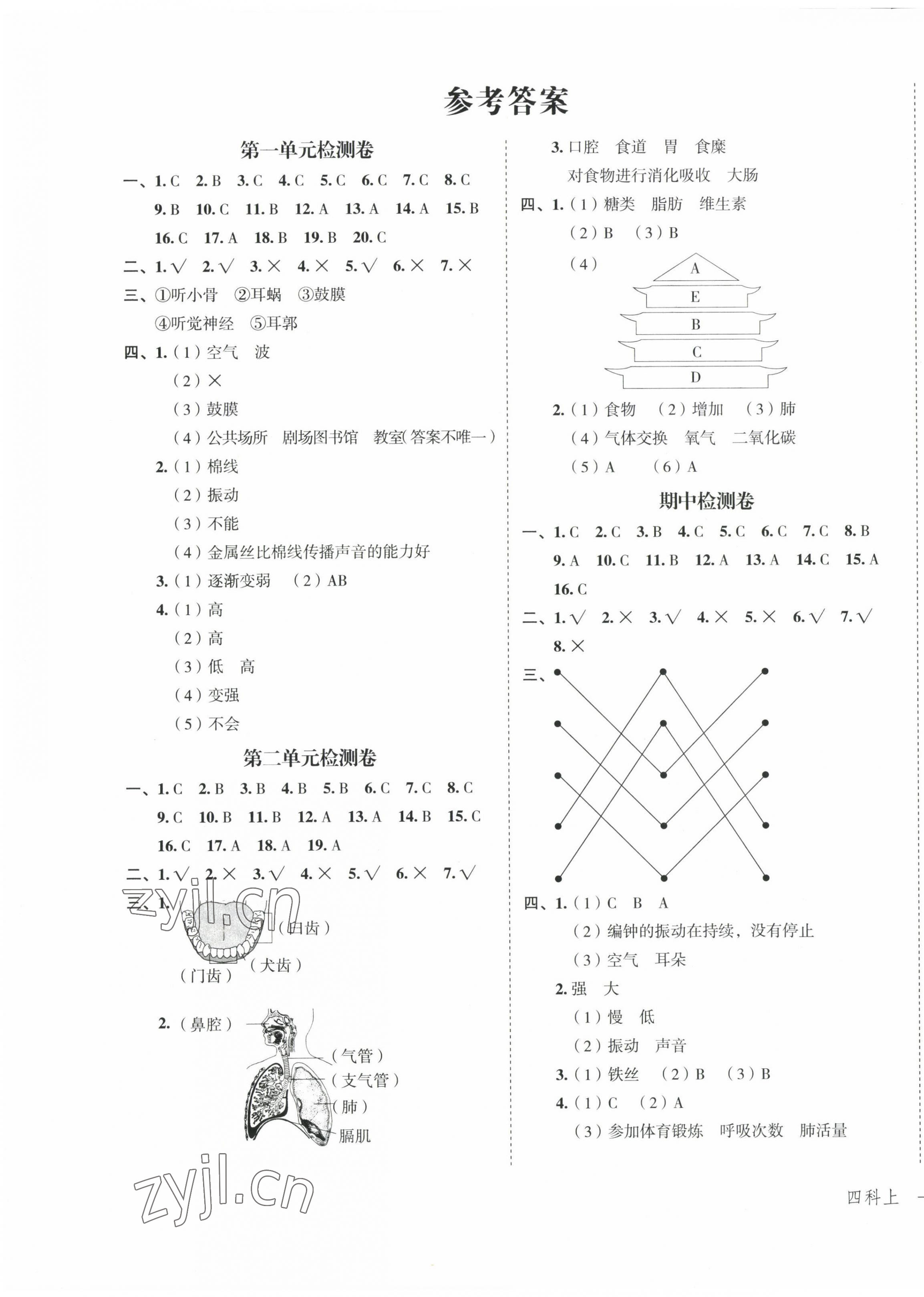 2022年名師面對面先學(xué)后練四年級科學(xué)上冊教科版 參考答案第1頁