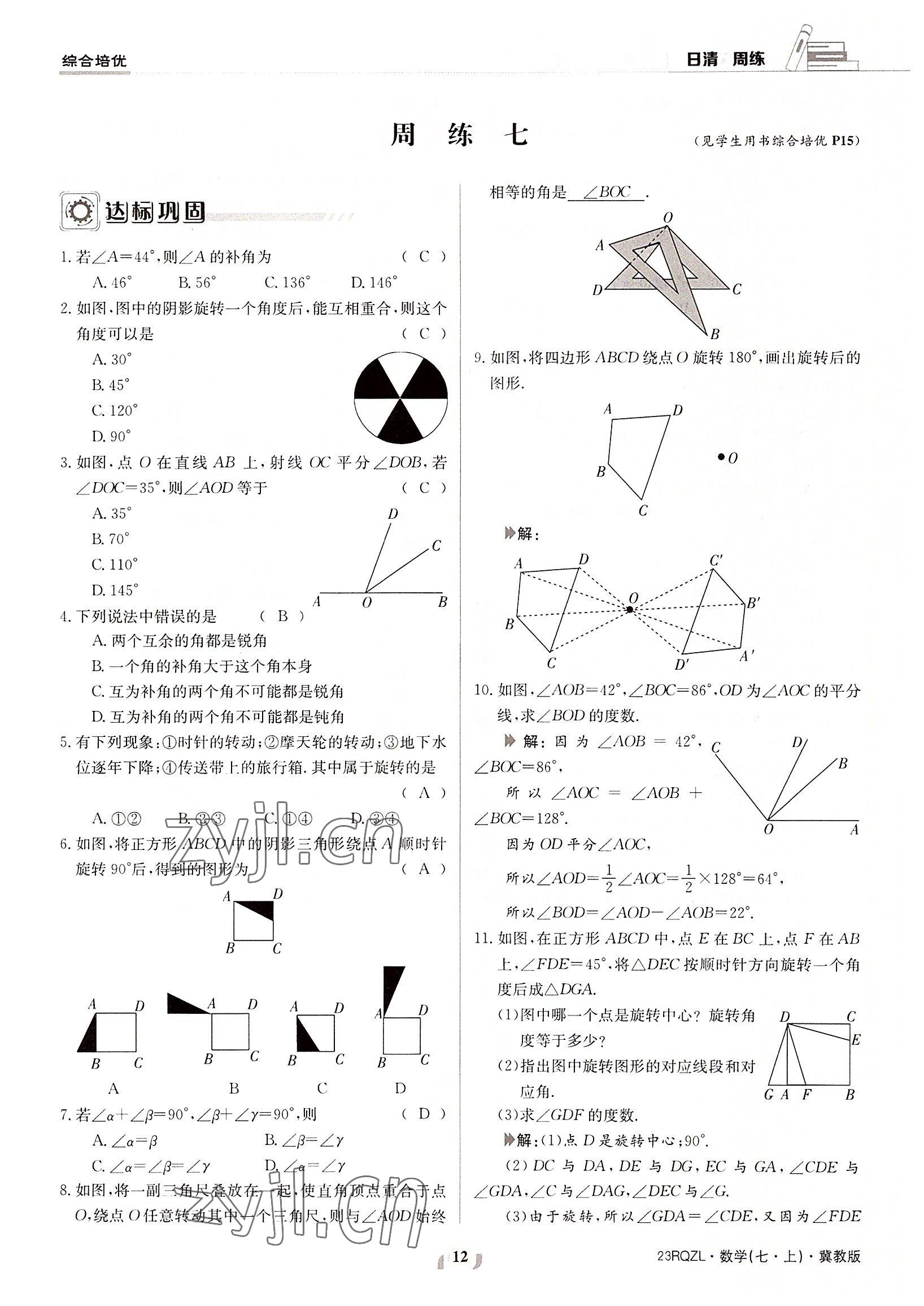 2022年日清周練七年級數(shù)學(xué)上冊冀教版 參考答案第12頁