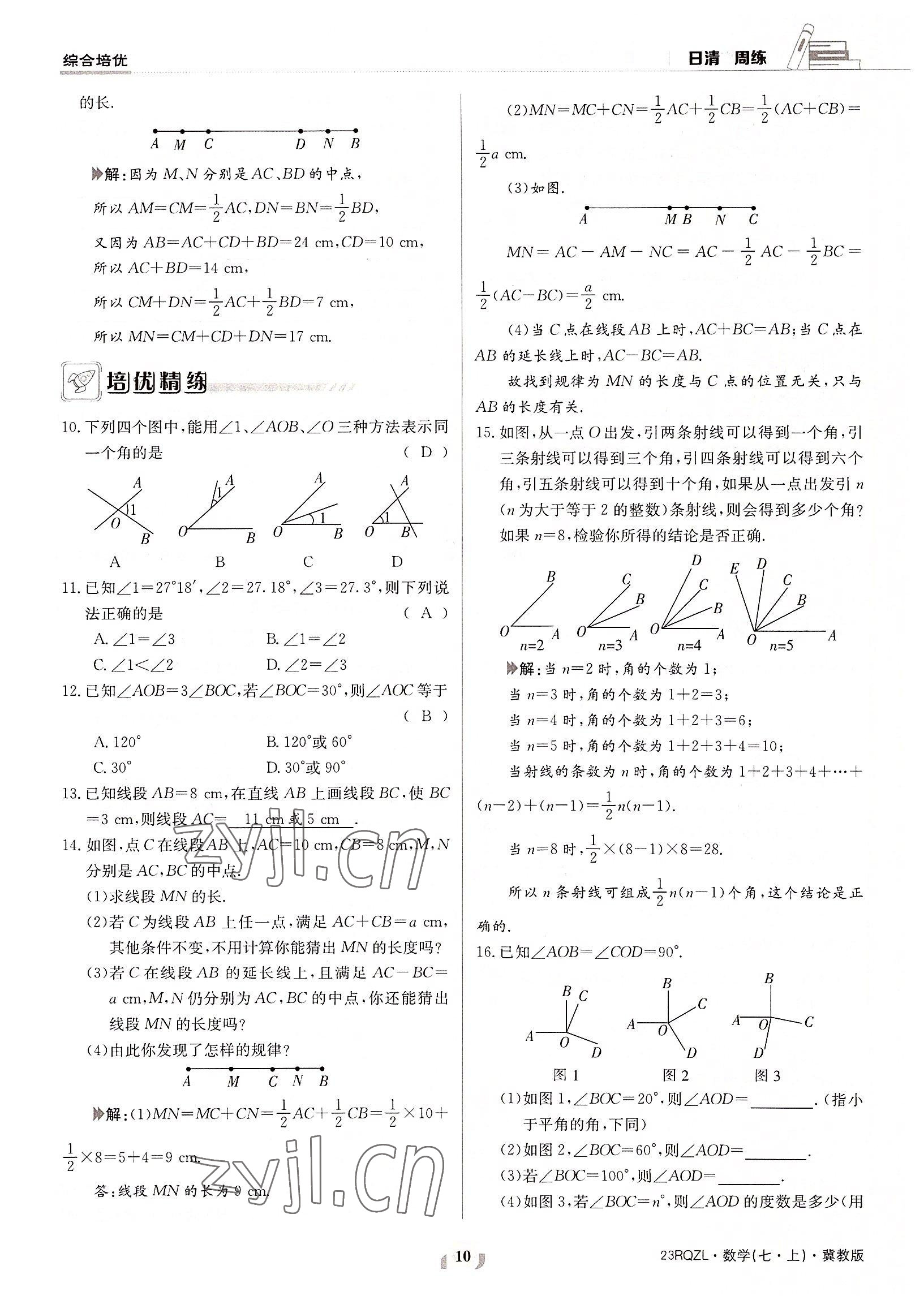 2022年日清周练七年级数学上册冀教版 参考答案第10页