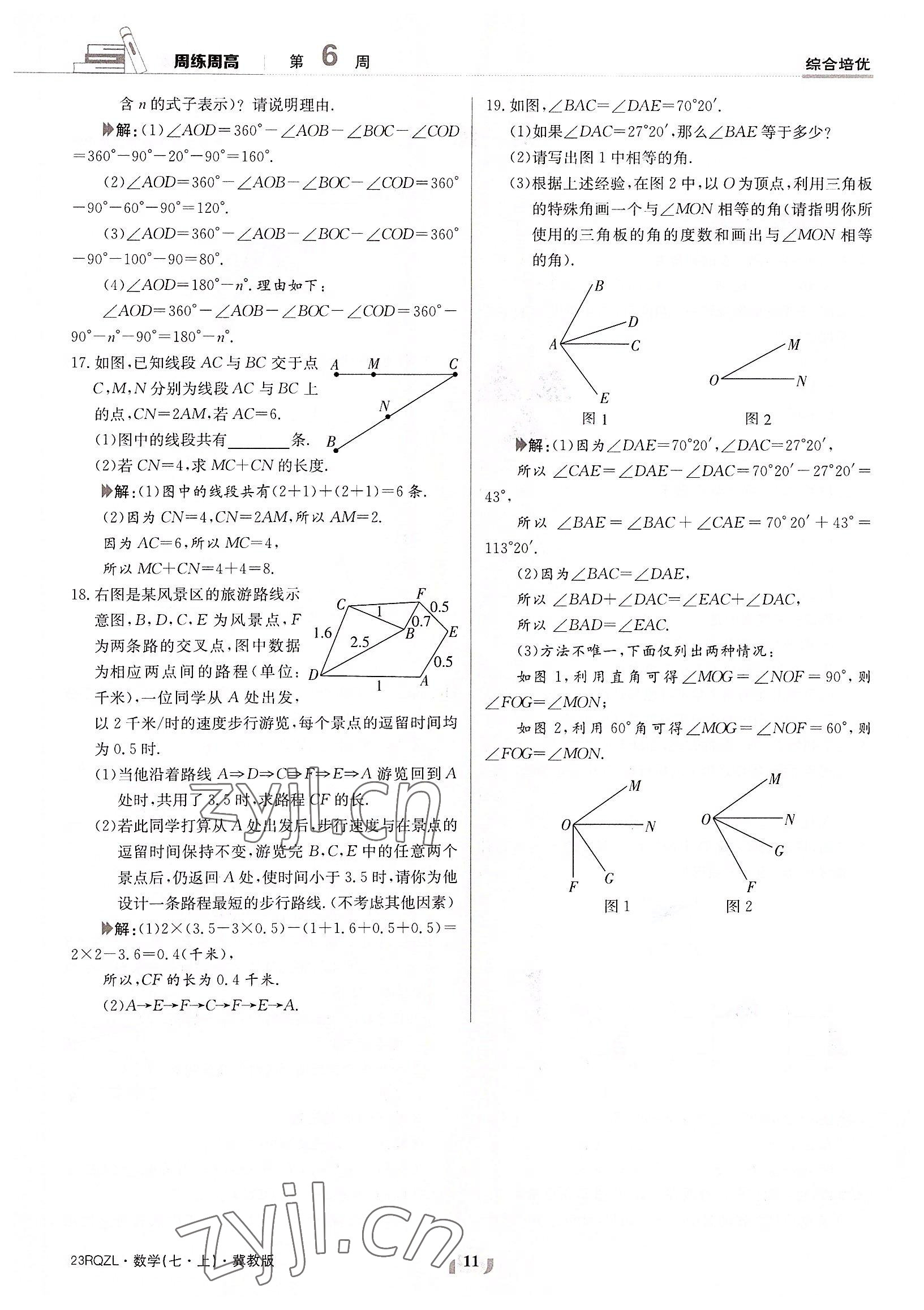 2022年日清周练七年级数学上册冀教版 参考答案第11页