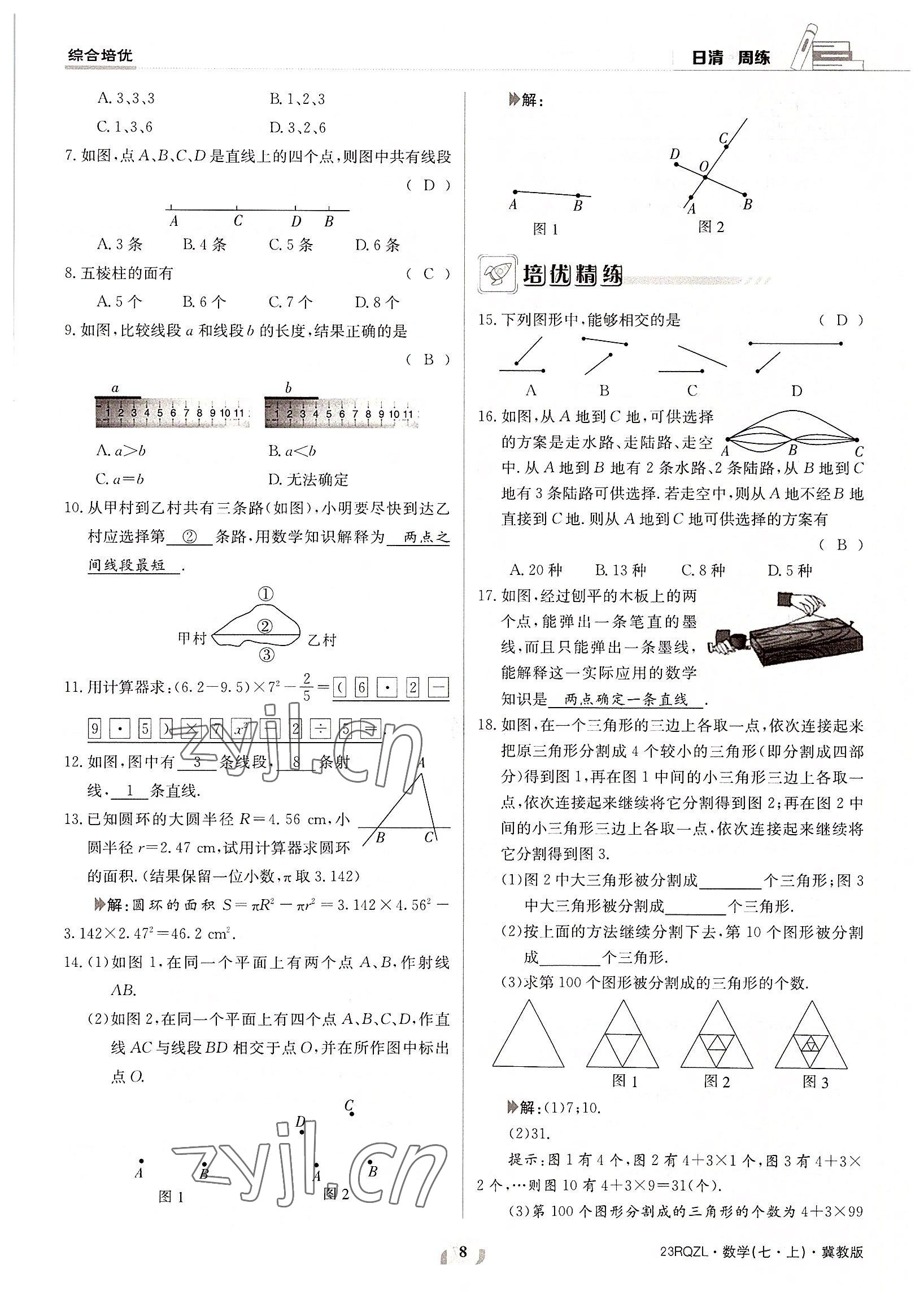 2022年日清周練七年級數(shù)學(xué)上冊冀教版 參考答案第8頁