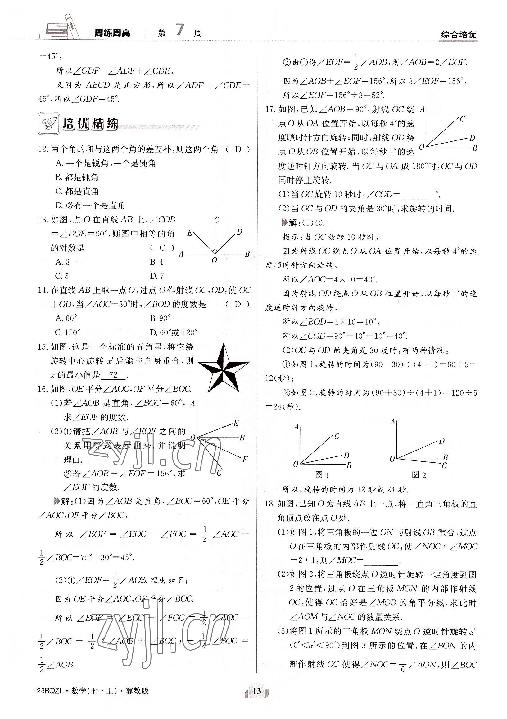 2022年日清周练七年级数学上册冀教版 参考答案第13页