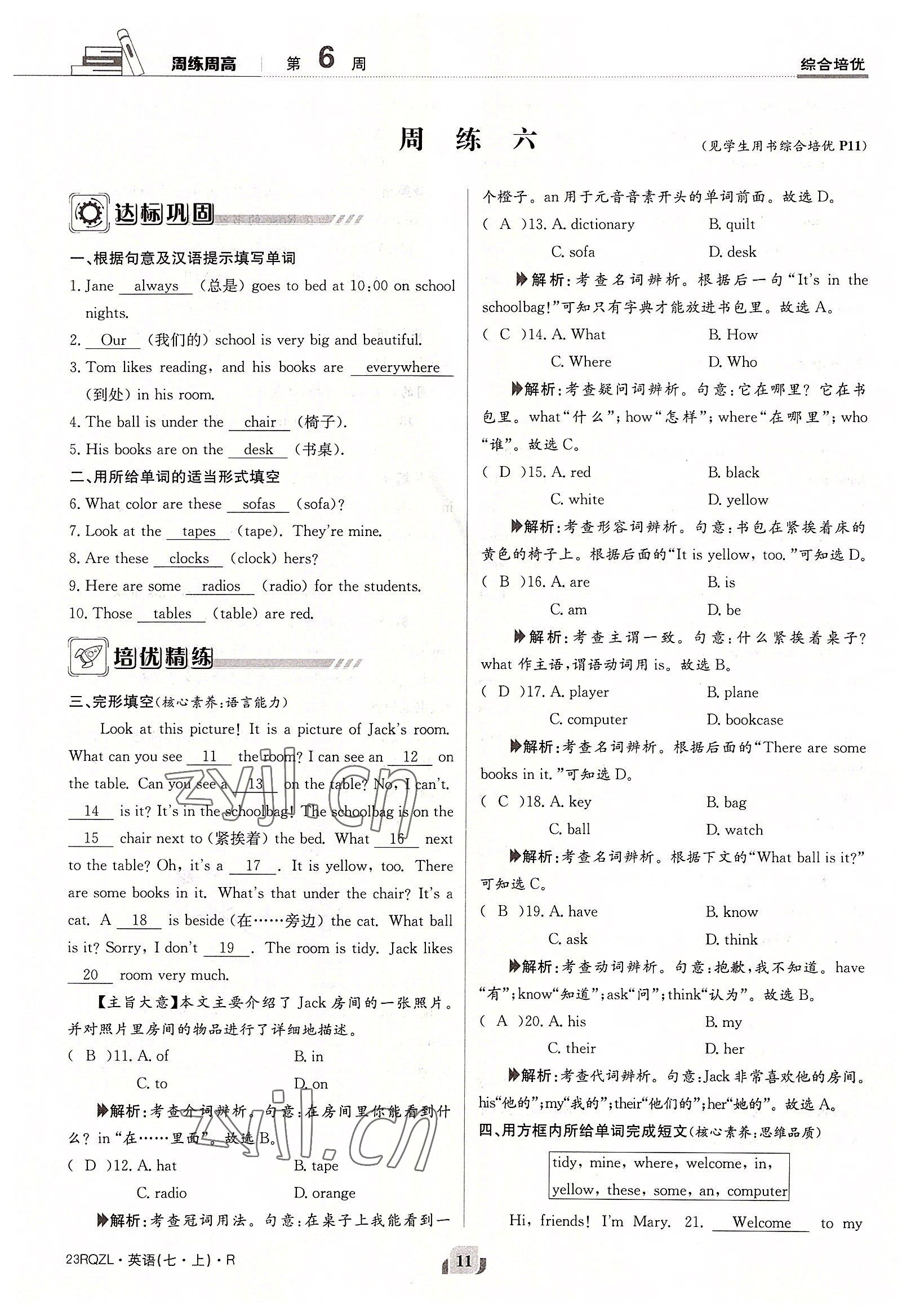 2022年日清周練七年級英語上冊人教版 參考答案第11頁