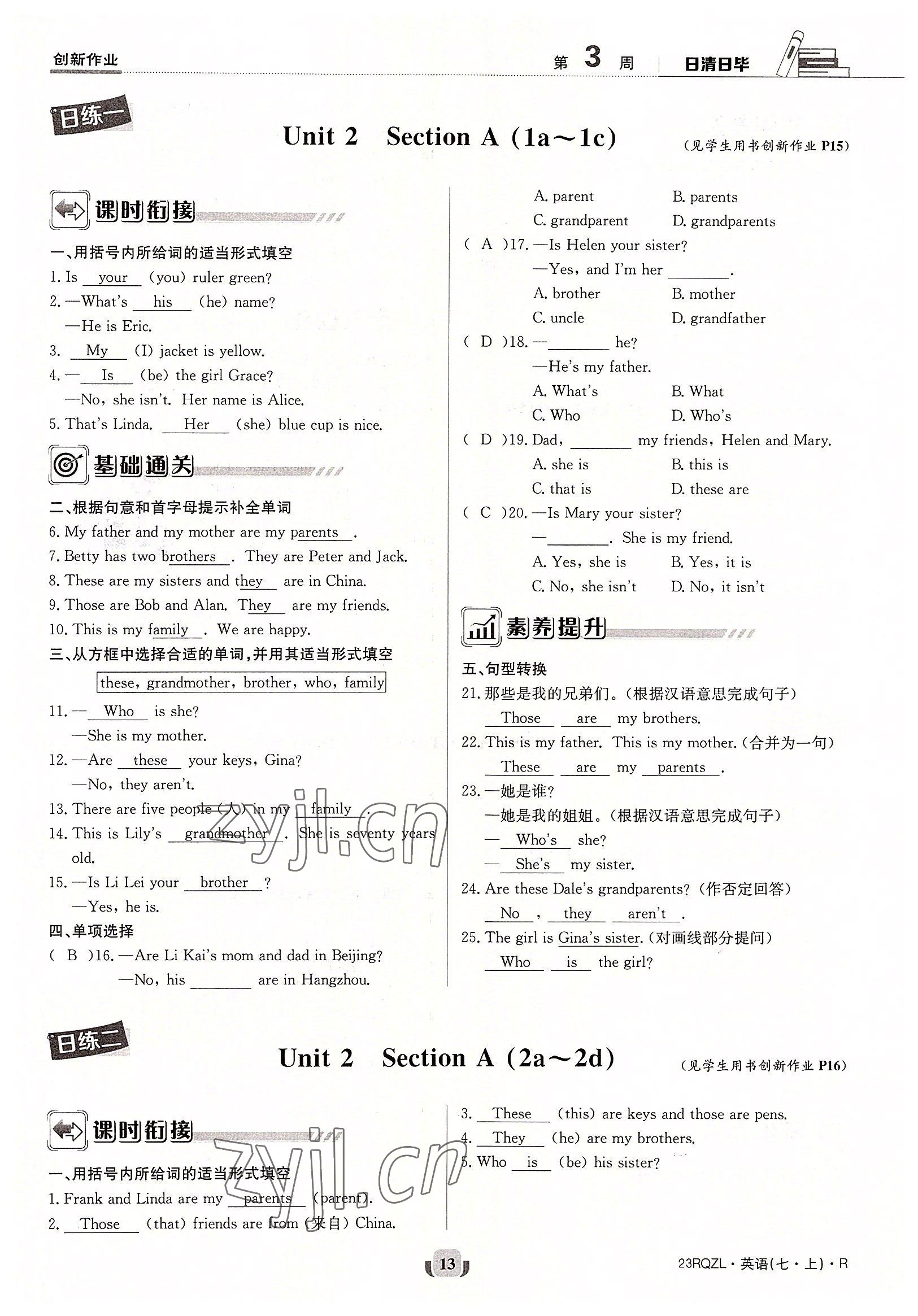 2022年日清周練七年級英語上冊人教版 參考答案第13頁