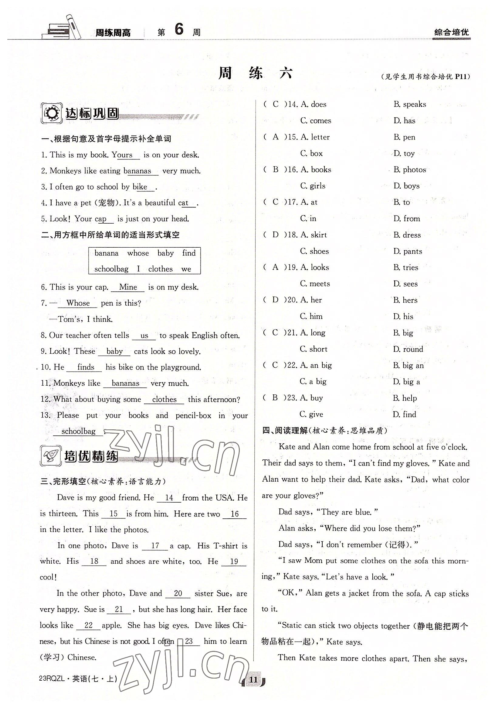 2022年日清周练七年级英语上册仁爱版 参考答案第11页