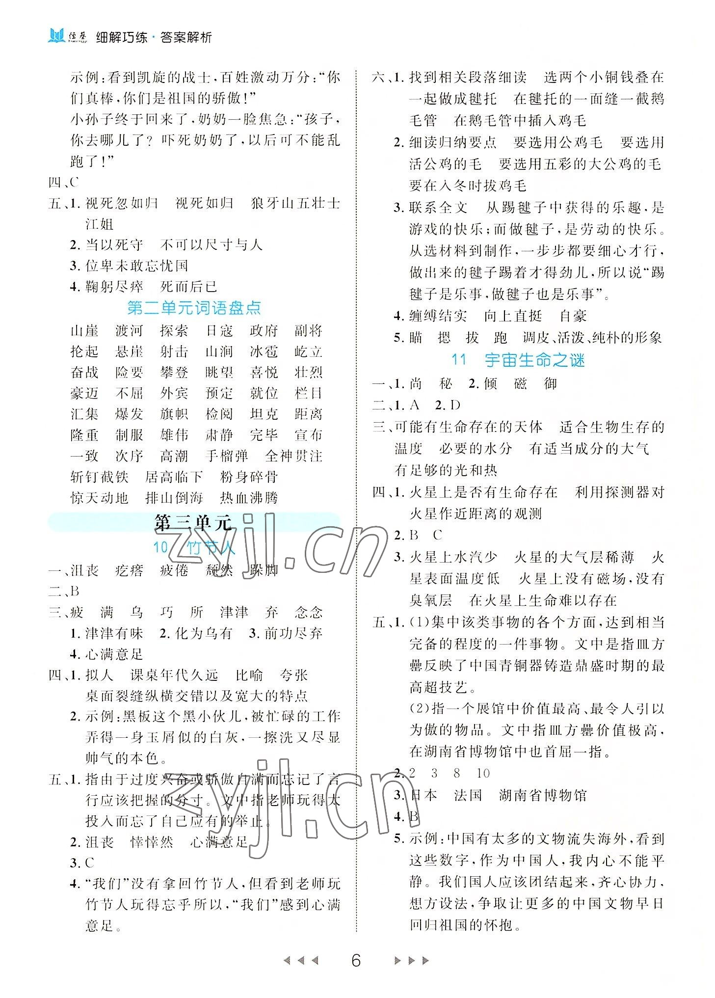 2022年细解巧练六年级语文上册人教版 参考答案第6页