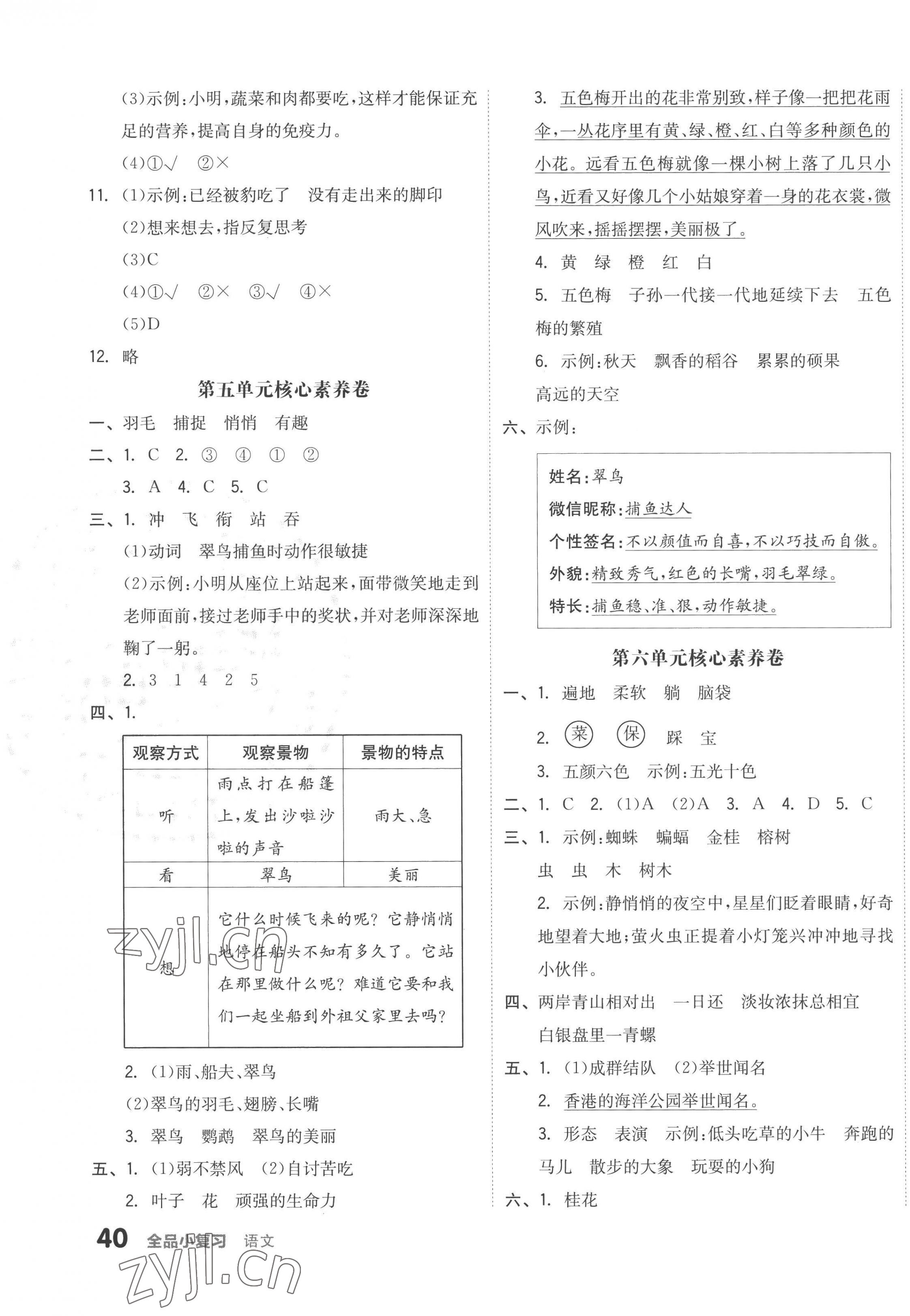 2022年全品小復(fù)習(xí)三年級語文上冊人教版 第3頁