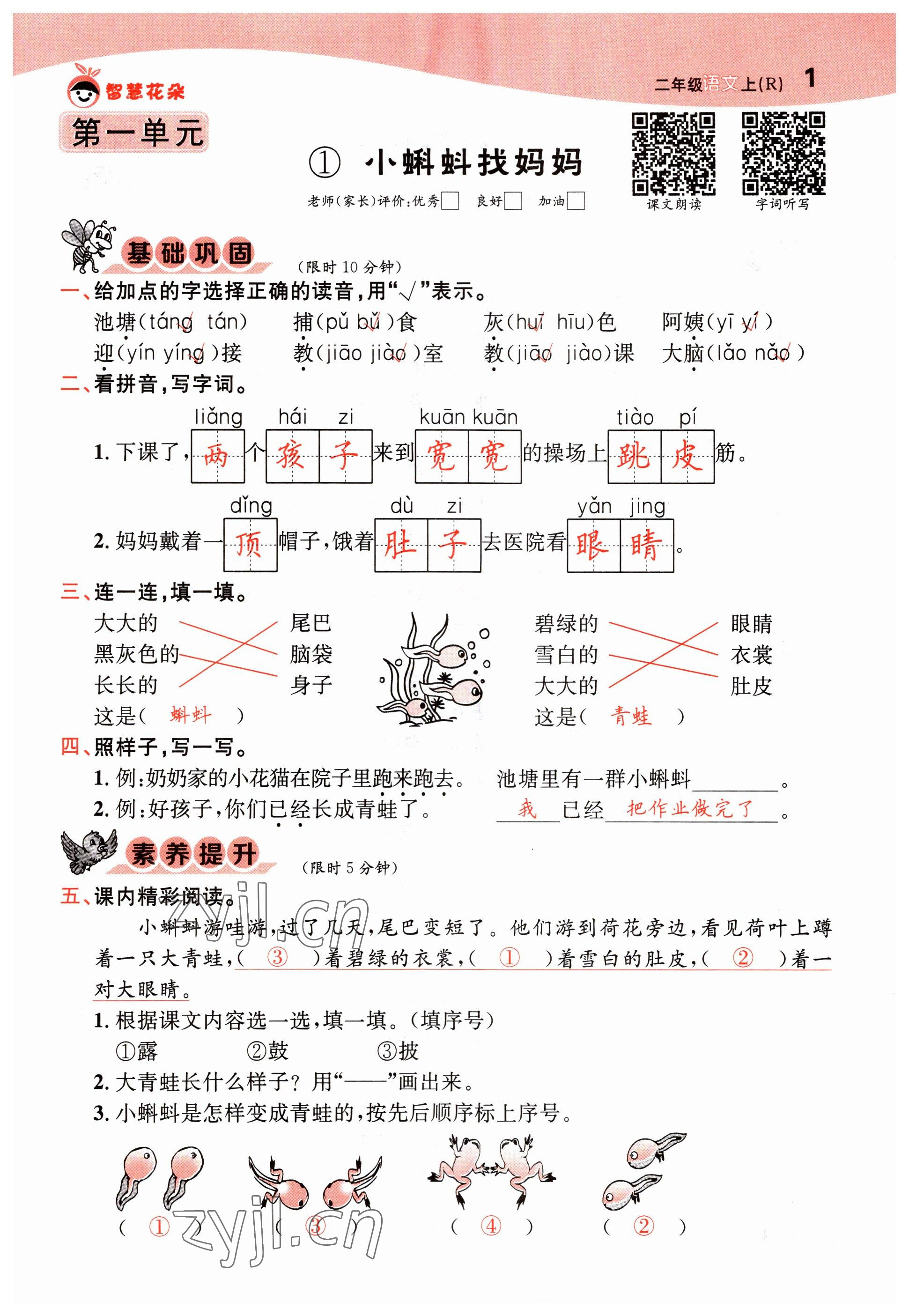 2022年智慧花朵二年級語文上冊人教版 參考答案第1頁