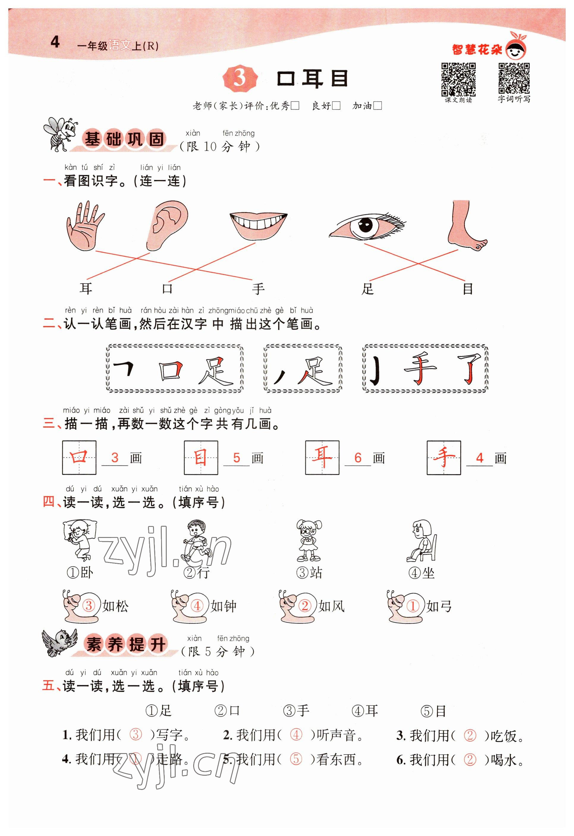 2022年智慧花朵一年級語文上冊人教版 參考答案第4頁