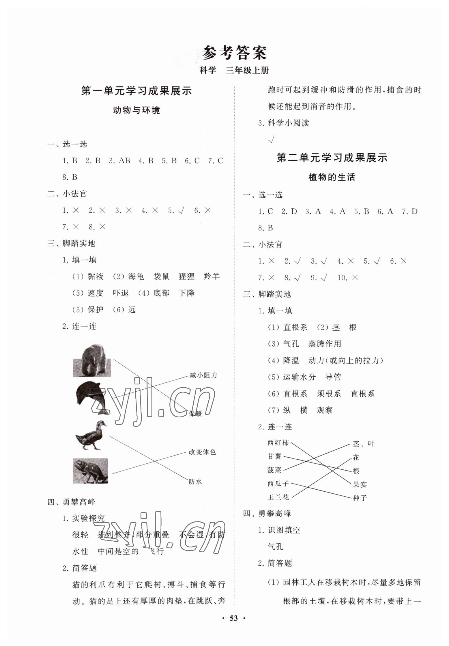 2022年同步練習(xí)冊(cè)分層指導(dǎo)三年級(jí)科學(xué)上冊(cè)青島版 第1頁