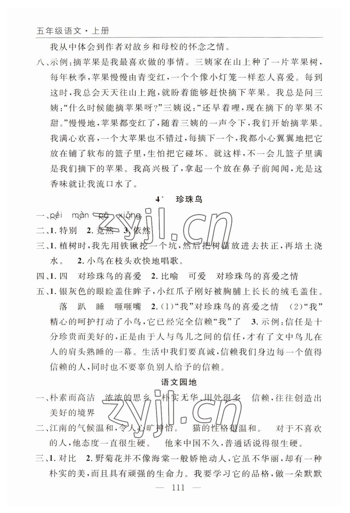 2022年優(yōu)質(zhì)課堂快樂(lè)成長(zhǎng)五年級(jí)語(yǔ)文上冊(cè)人教版 參考答案第3頁(yè)