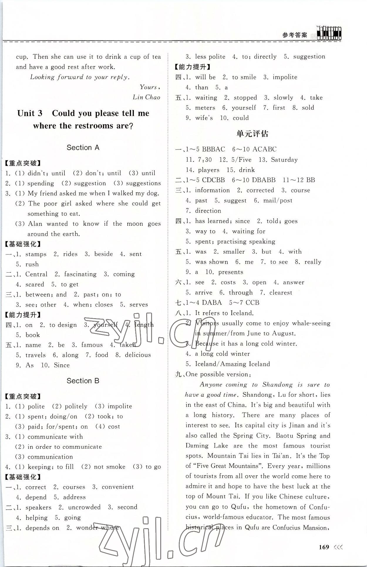 2022年同步練習(xí)冊山東科學(xué)技術(shù)出版社九年級英語全一冊人教版 第3頁