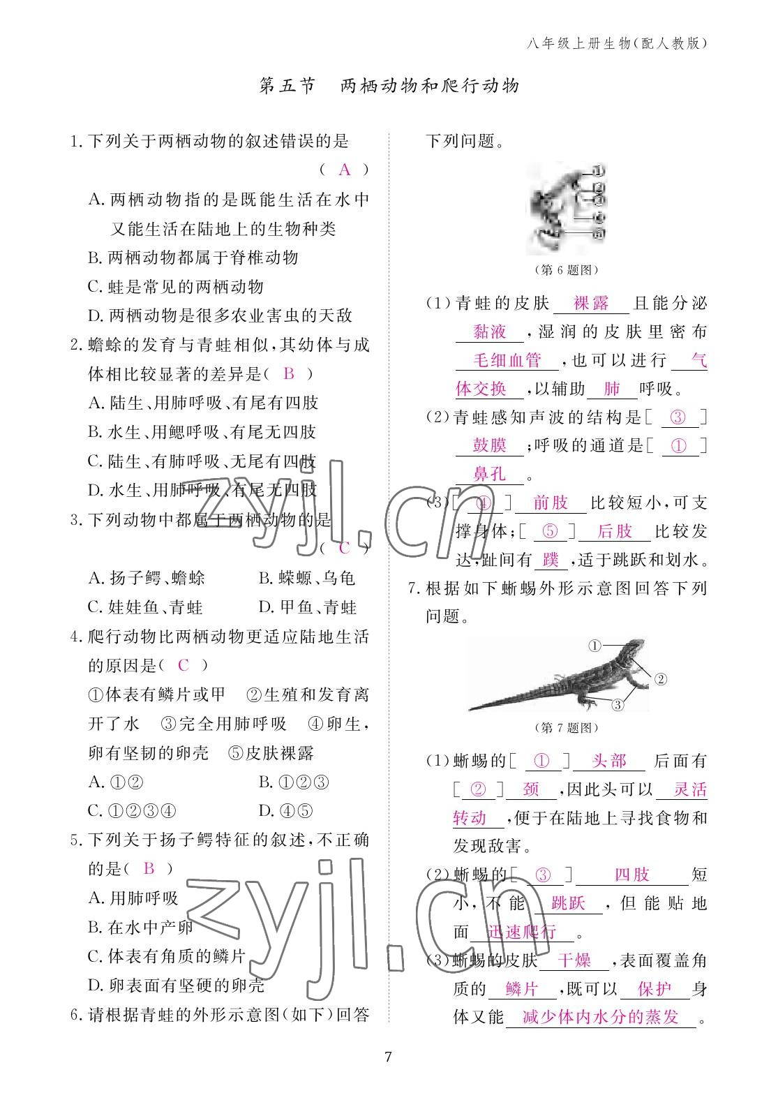 2022年作業(yè)本江西教育出版社八年級(jí)生物上冊(cè)人教版 參考答案第7頁