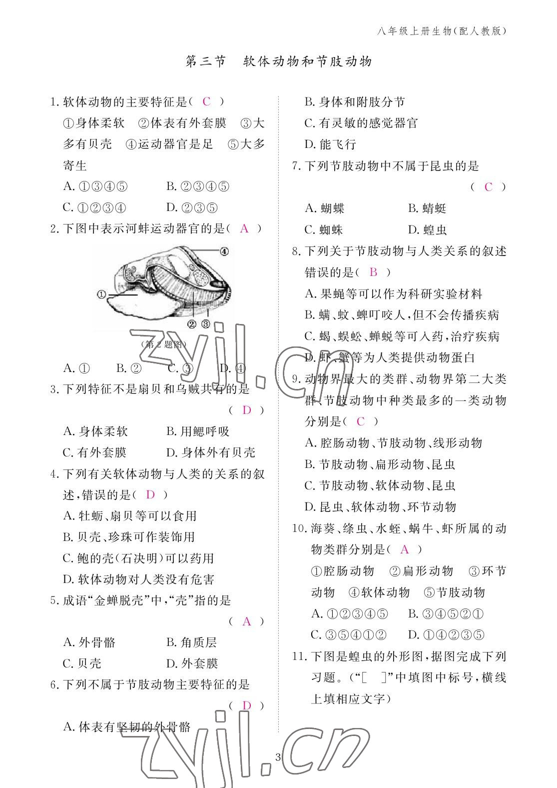 2022年作業(yè)本江西教育出版社八年級(jí)生物上冊(cè)人教版 參考答案第3頁