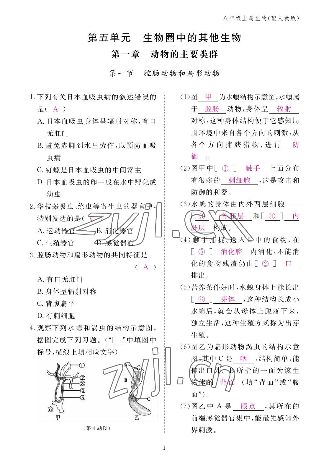 2022年作業(yè)本江西教育出版社八年級生物上冊人教版 參考答案第1頁