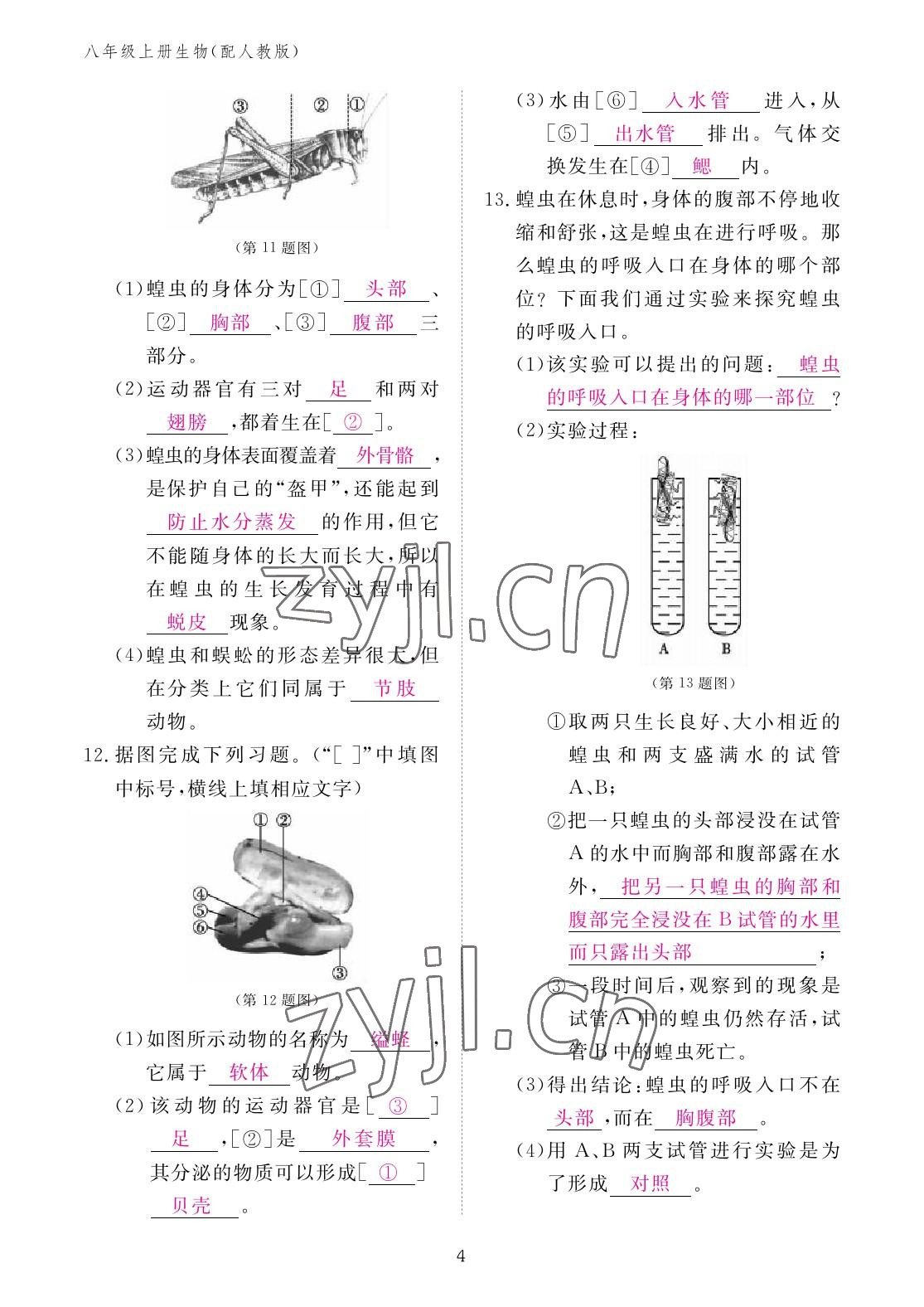 2022年作業(yè)本江西教育出版社八年級(jí)生物上冊(cè)人教版 參考答案第4頁(yè)