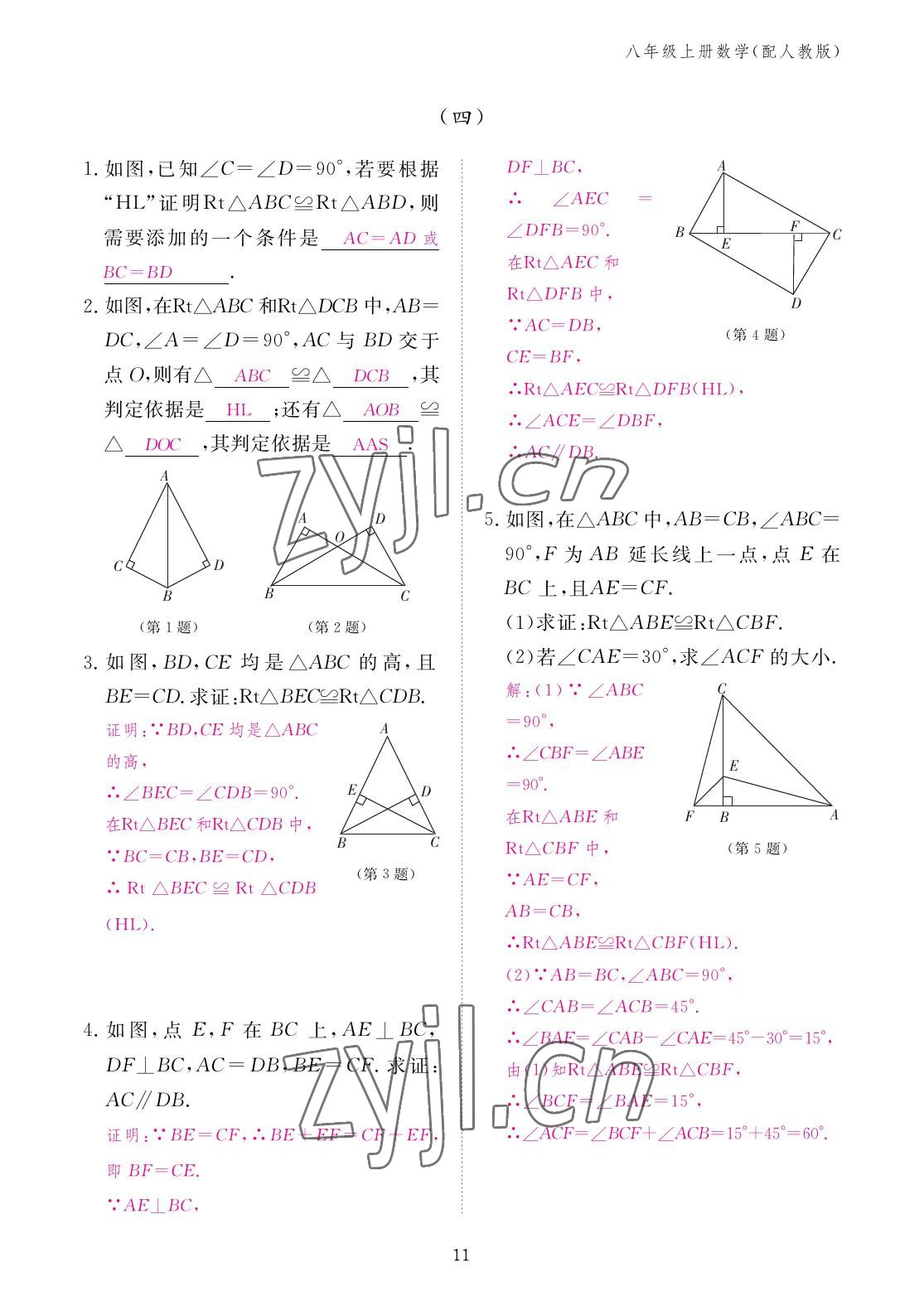 2022年作業(yè)本江西教育出版社八年級數(shù)學(xué)上冊人教版 參考答案第11頁