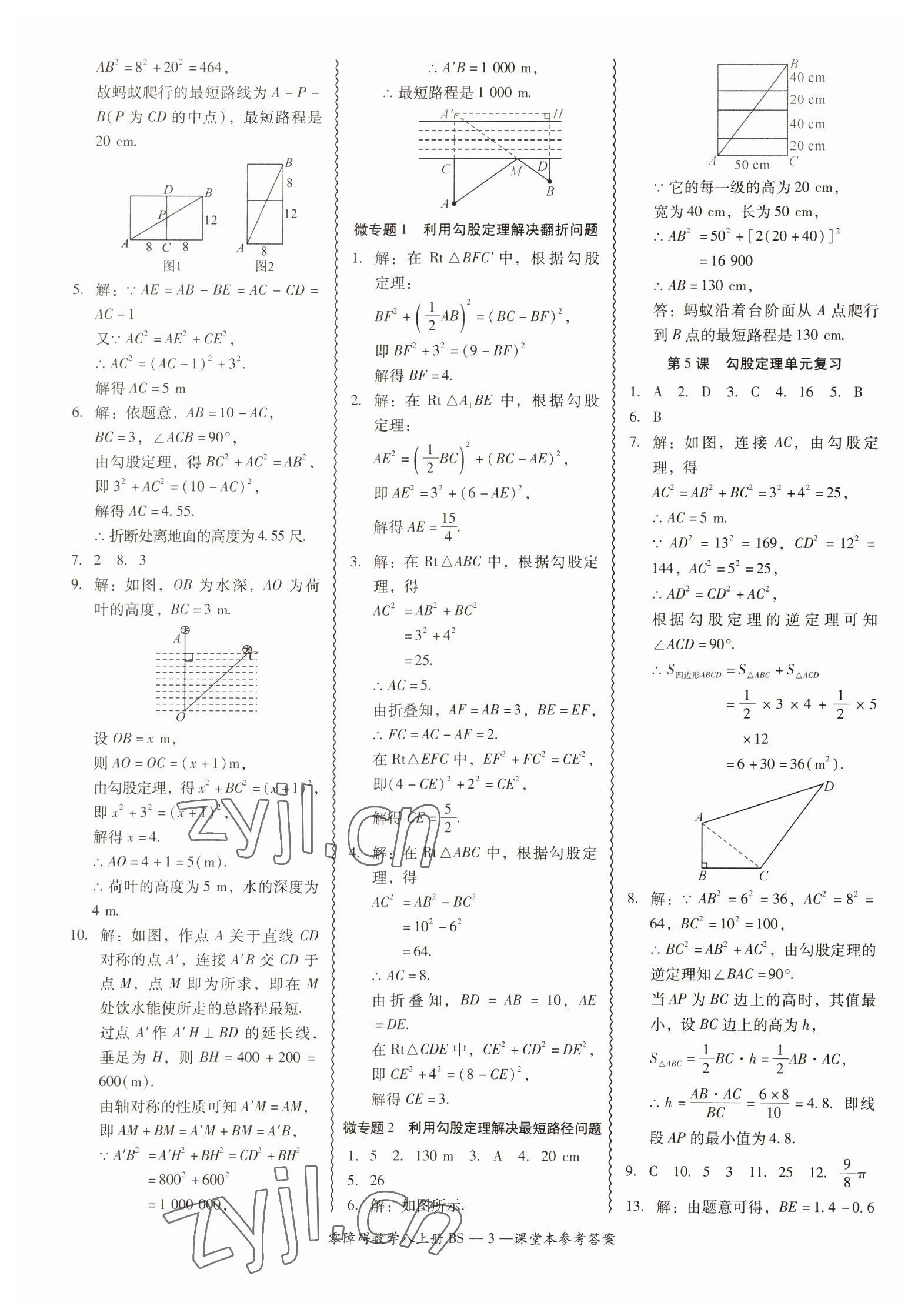 2022年零障礙導(dǎo)教導(dǎo)學(xué)案八年級(jí)數(shù)學(xué)上冊(cè)北師大版 第3頁(yè)