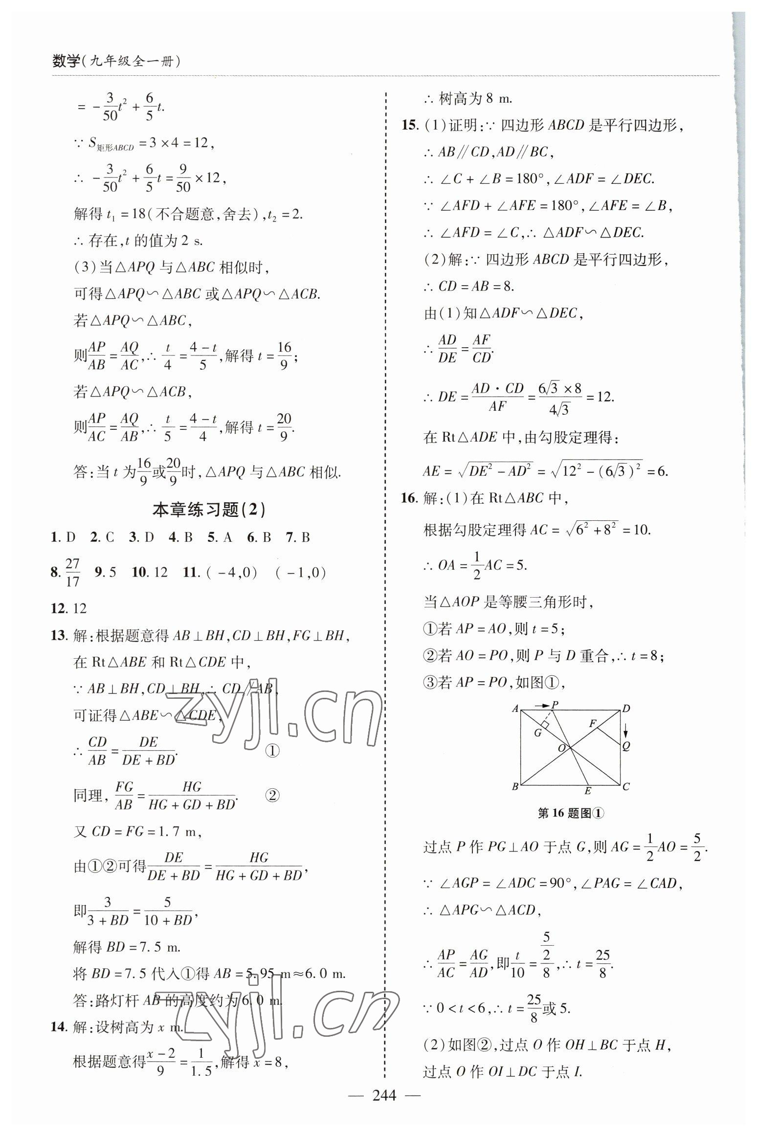 2022年新課堂學習與探究九年級數學全一冊北師大版 參考答案第12頁