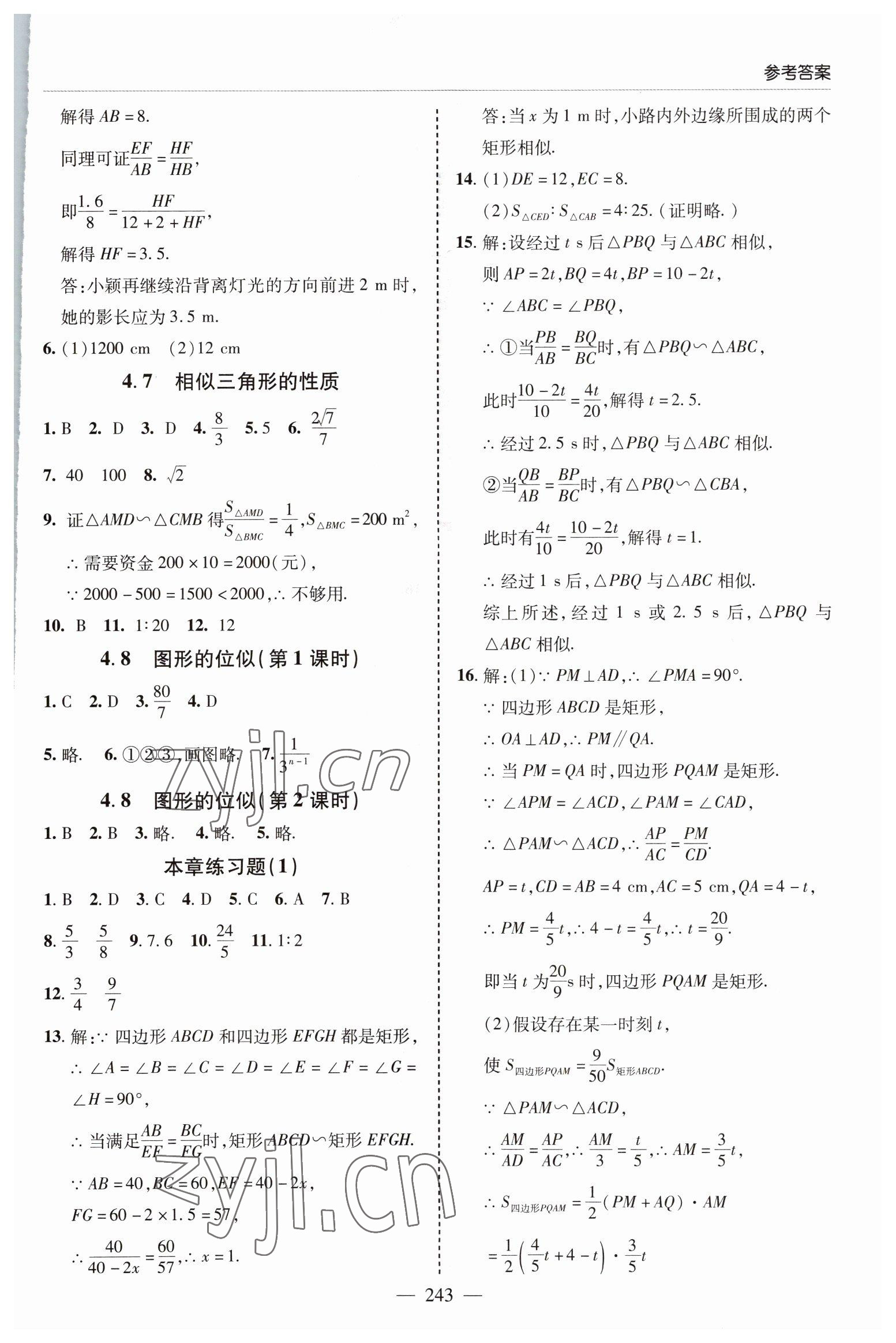 2022年新課堂學習與探究九年級數學全一冊北師大版 參考答案第11頁