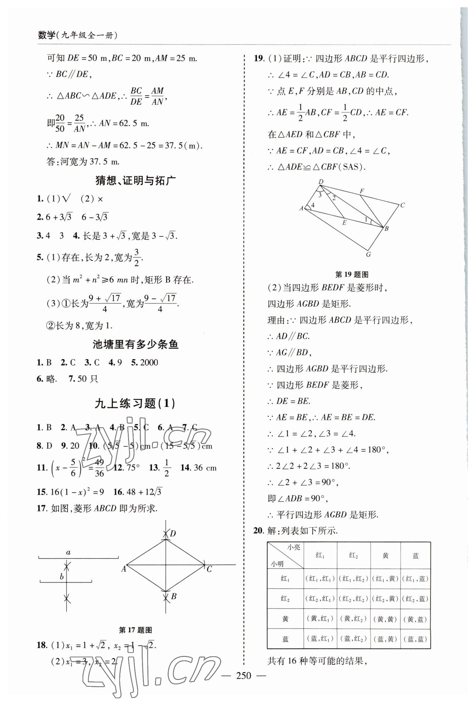 2022年新課堂學習與探究九年級數學全一冊北師大版 參考答案第18頁