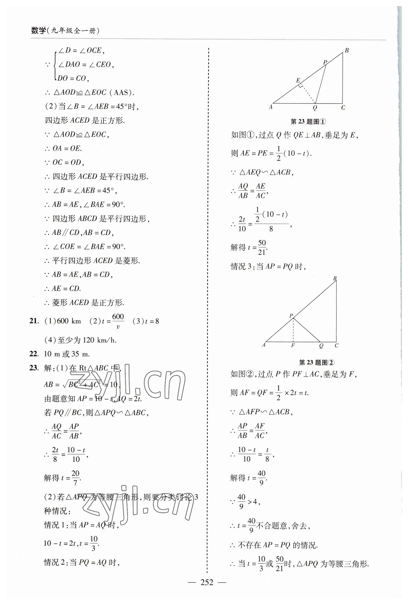 2022年新課堂學習與探究九年級數學全一冊北師大版 參考答案第20頁