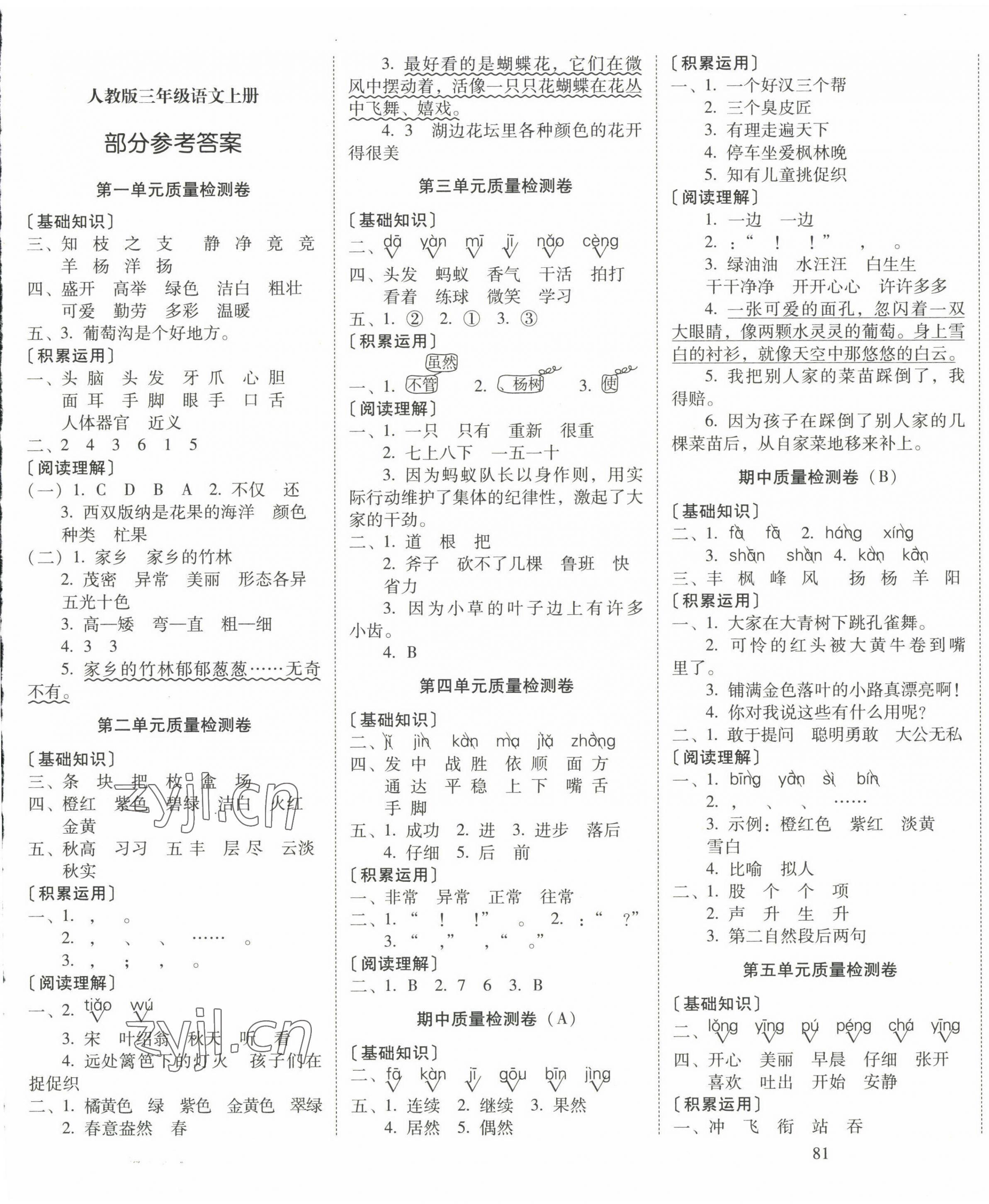 2022年云南师大附小一线名师核心试卷三年级语文上册人教版 第1页