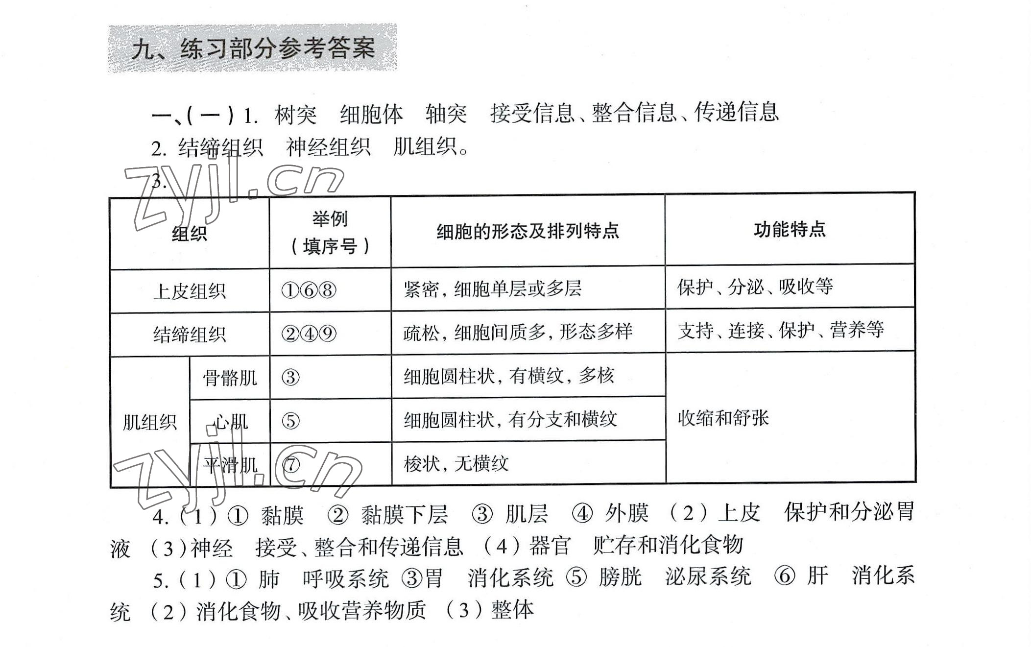 2022年练习部分初中生命科学第一册沪教版54制 参考答案第1页