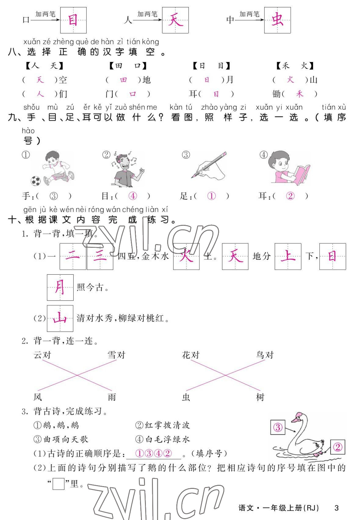 2022年課堂點(diǎn)睛一年級(jí)語文上冊(cè)人教版湖南專版 參考答案第3頁