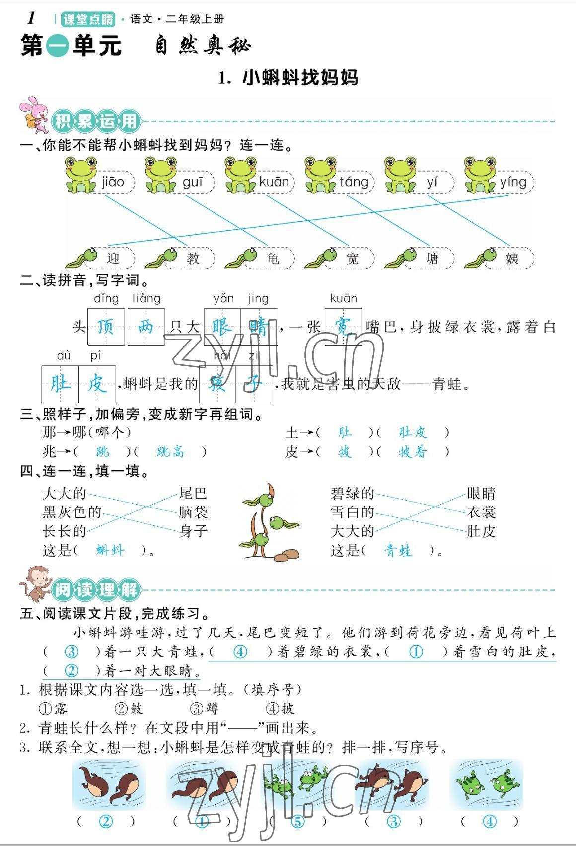 2022年課堂點(diǎn)睛二年級(jí)語文上冊(cè)人教版湖南專版 參考答案第3頁