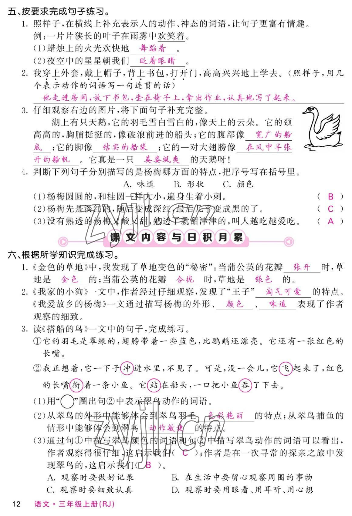 2022年課堂點睛三年級語文上冊人教版湖南專版 參考答案第22頁