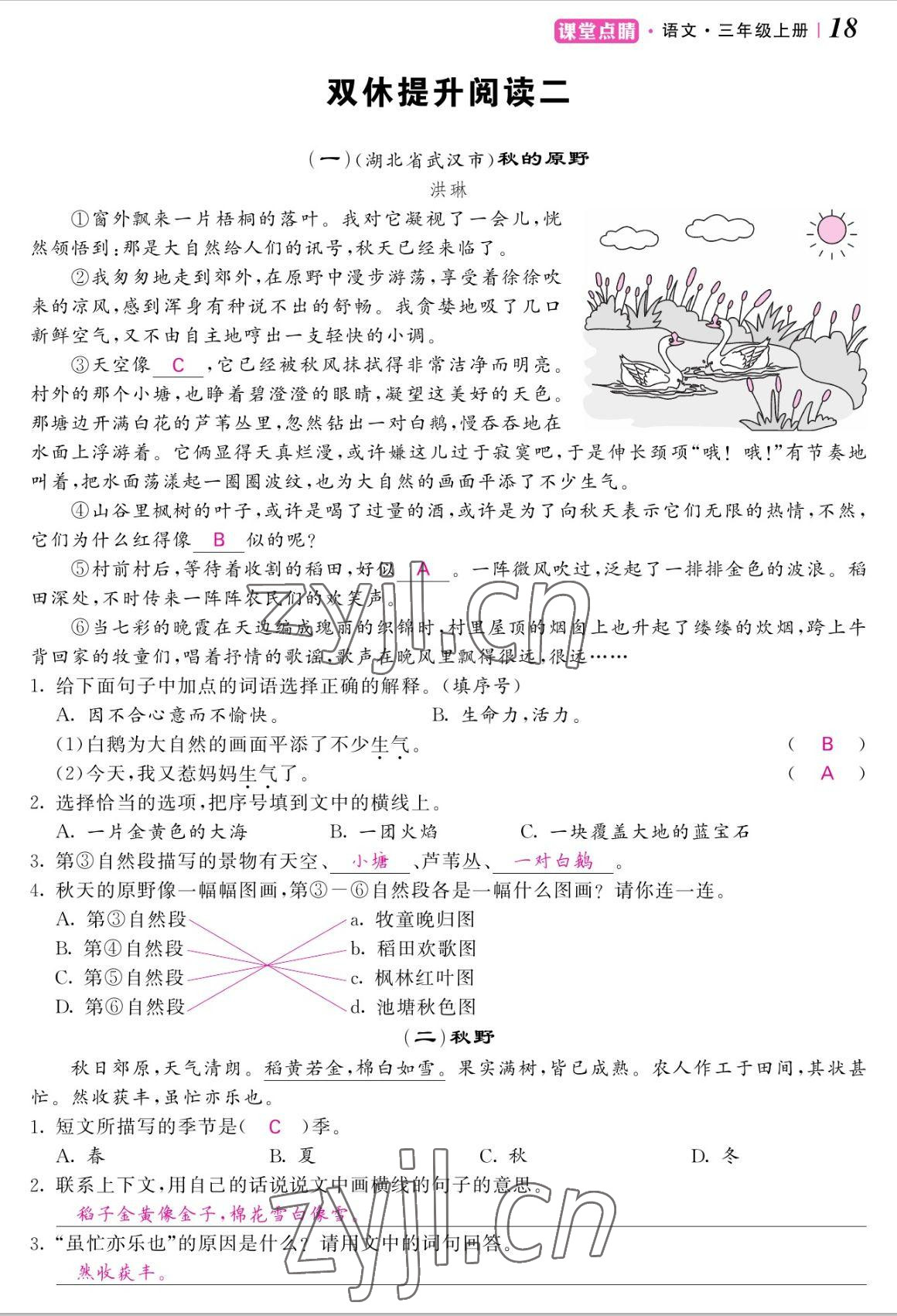 2022年課堂點(diǎn)睛三年級語文上冊人教版湖南專版 參考答案第37頁