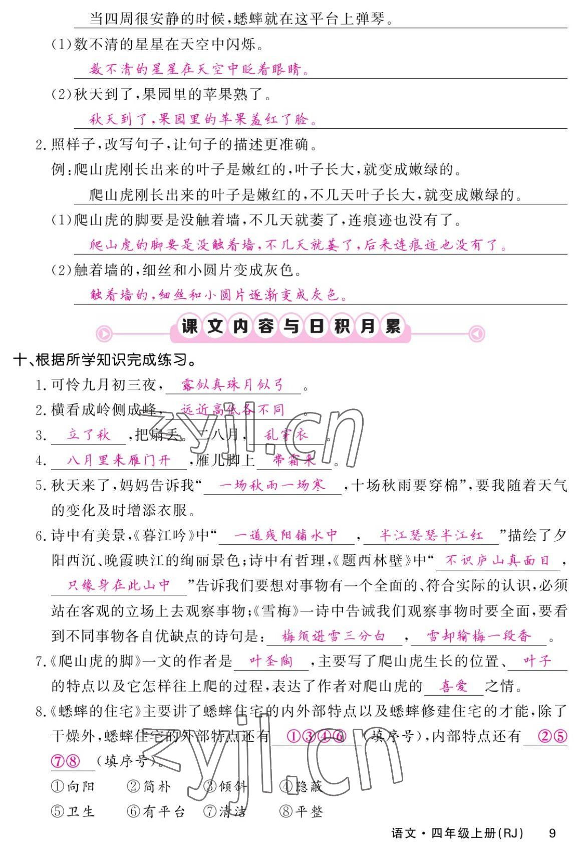 2022年課堂點睛四年級語文上冊人教版湖南專版 參考答案第16頁