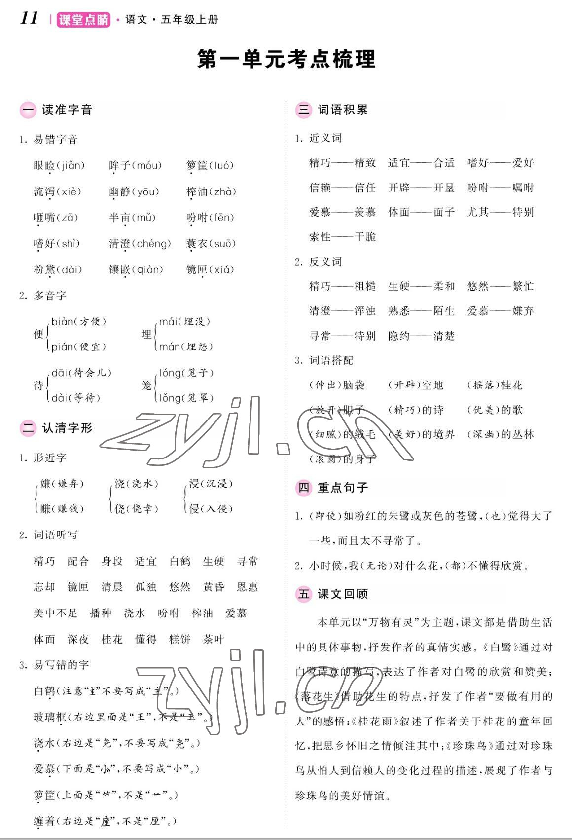 2022年課堂點(diǎn)睛五年級語文上冊人教版湖南專版 參考答案第23頁