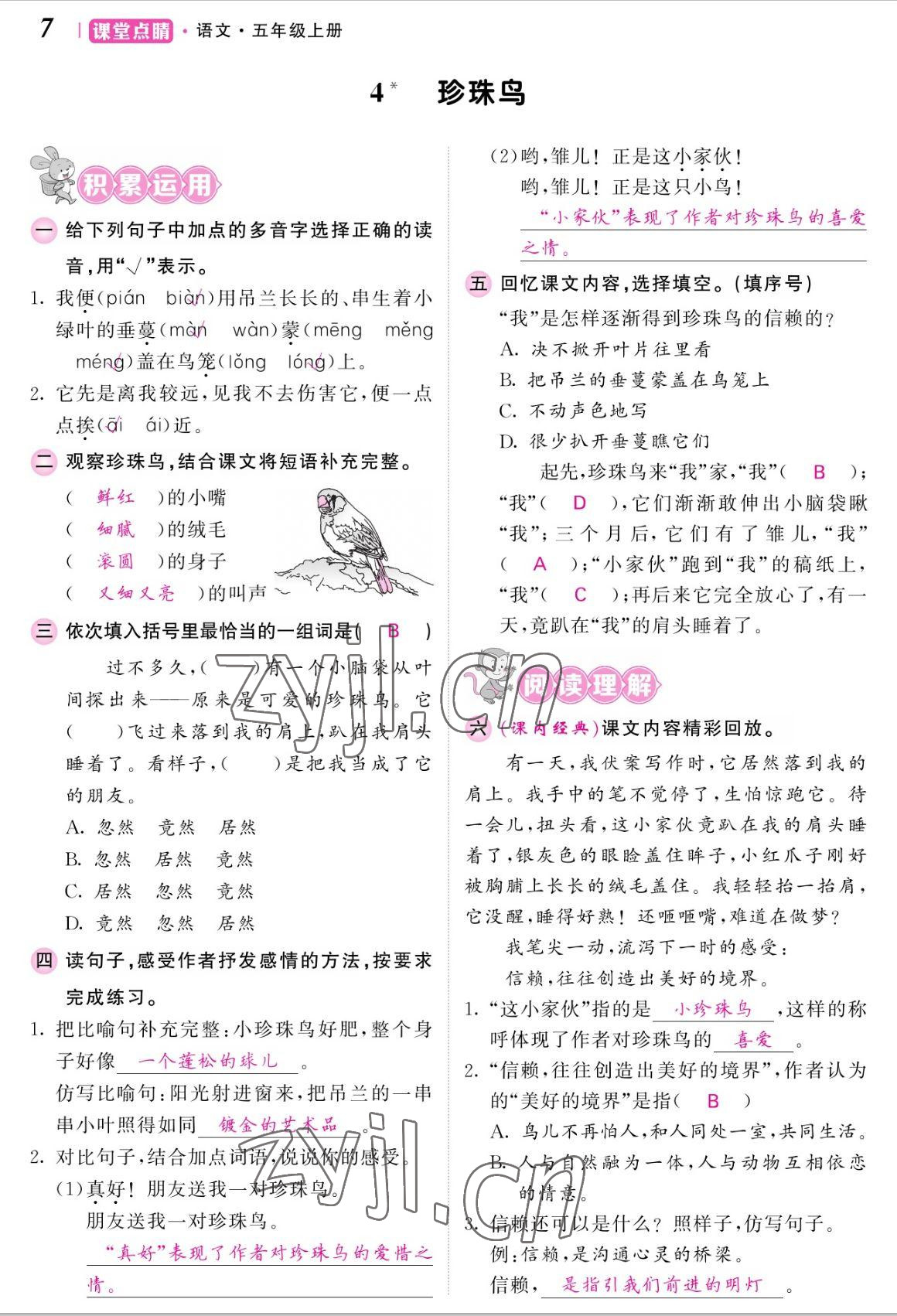 2022年課堂點(diǎn)睛五年級(jí)語(yǔ)文上冊(cè)人教版湖南專(zhuān)版 參考答案第15頁(yè)