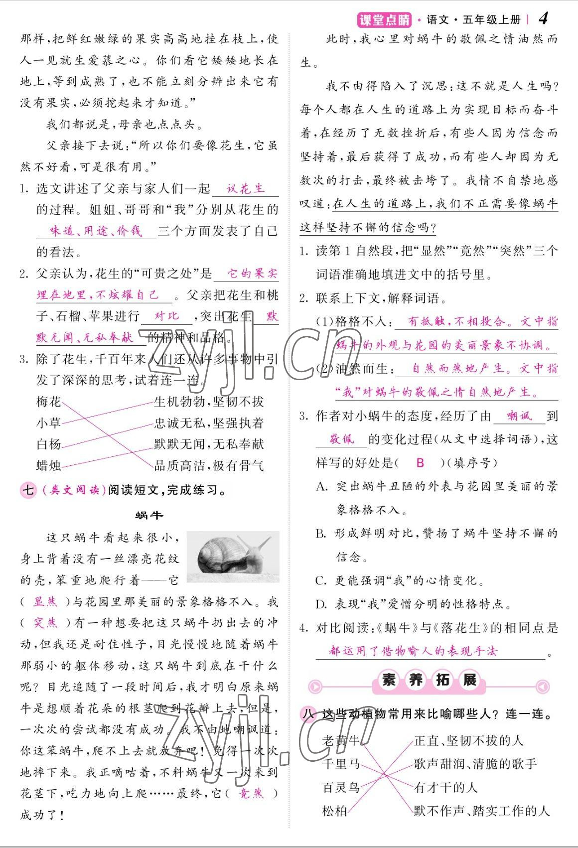 2022年課堂點睛五年級語文上冊人教版湖南專版 參考答案第9頁