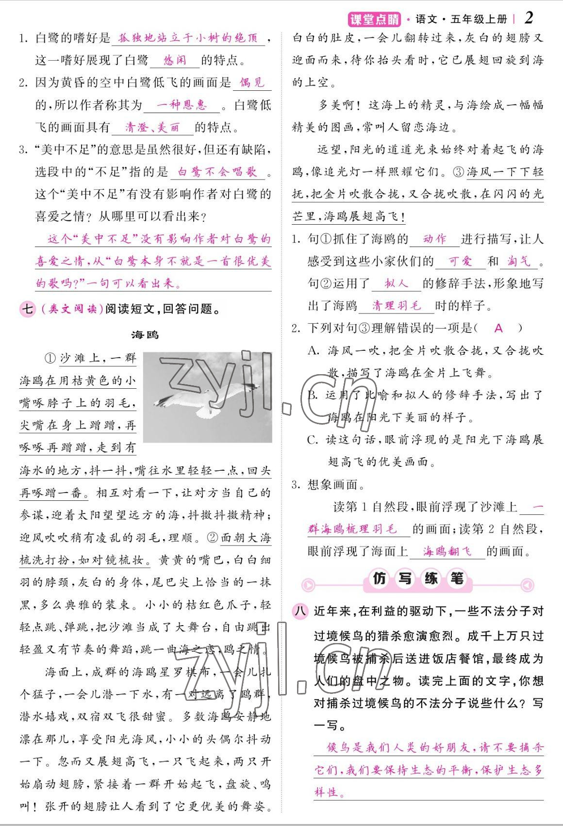 2022年課堂點(diǎn)睛五年級語文上冊人教版湖南專版 參考答案第5頁