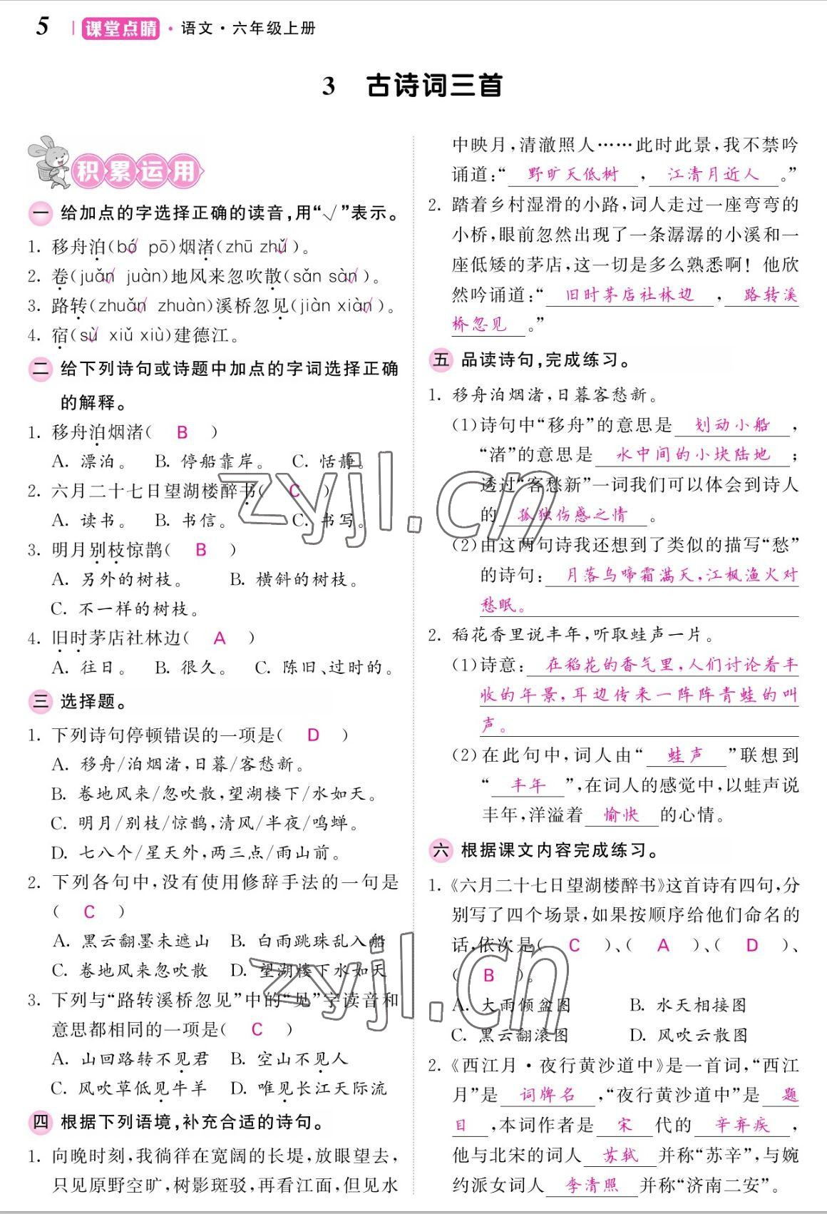 2022年課堂點(diǎn)睛六年級語文上冊人教版湖南專版 參考答案第5頁